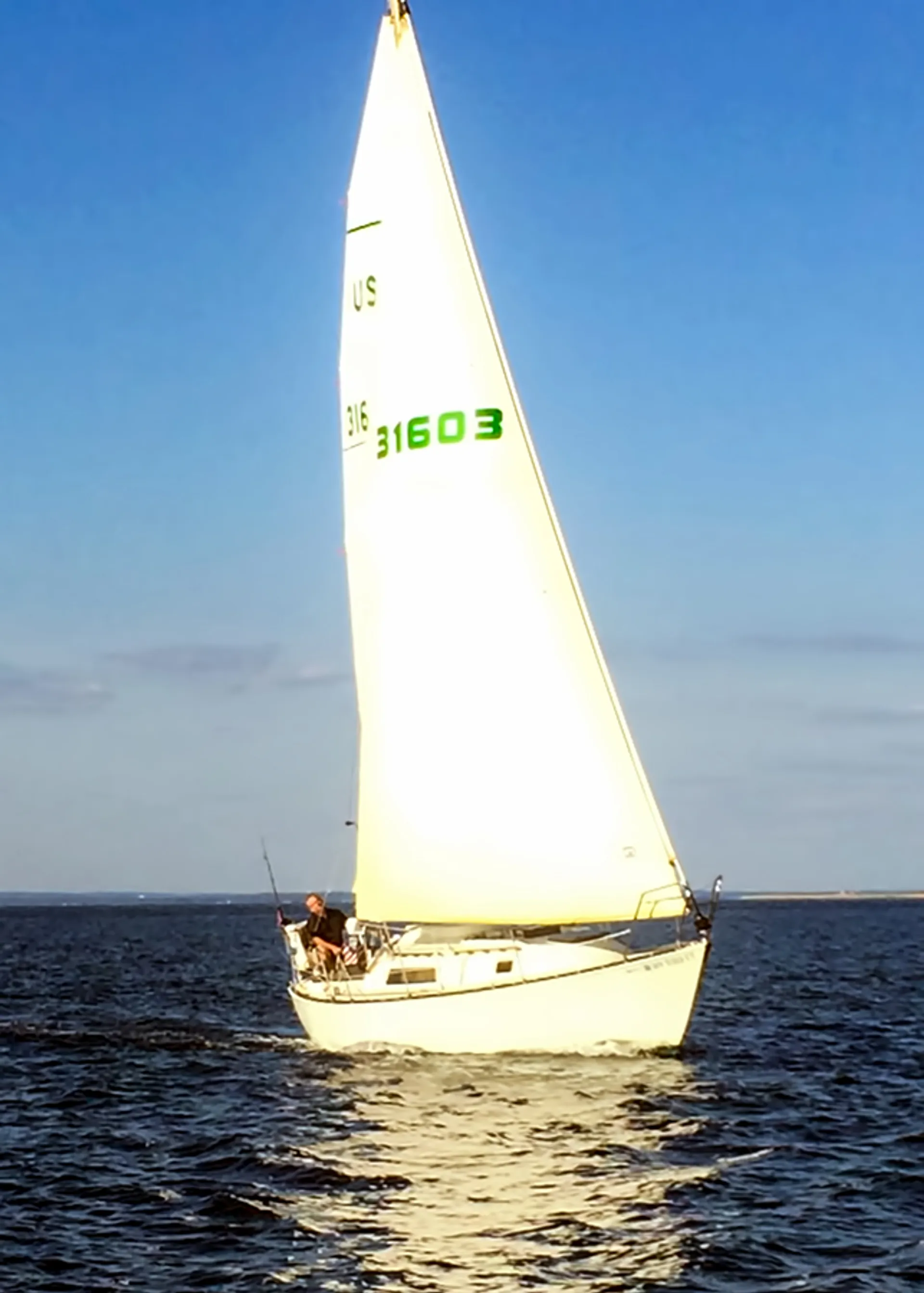 Sail to the Statue of Liberty in NYC Wall Street harbor