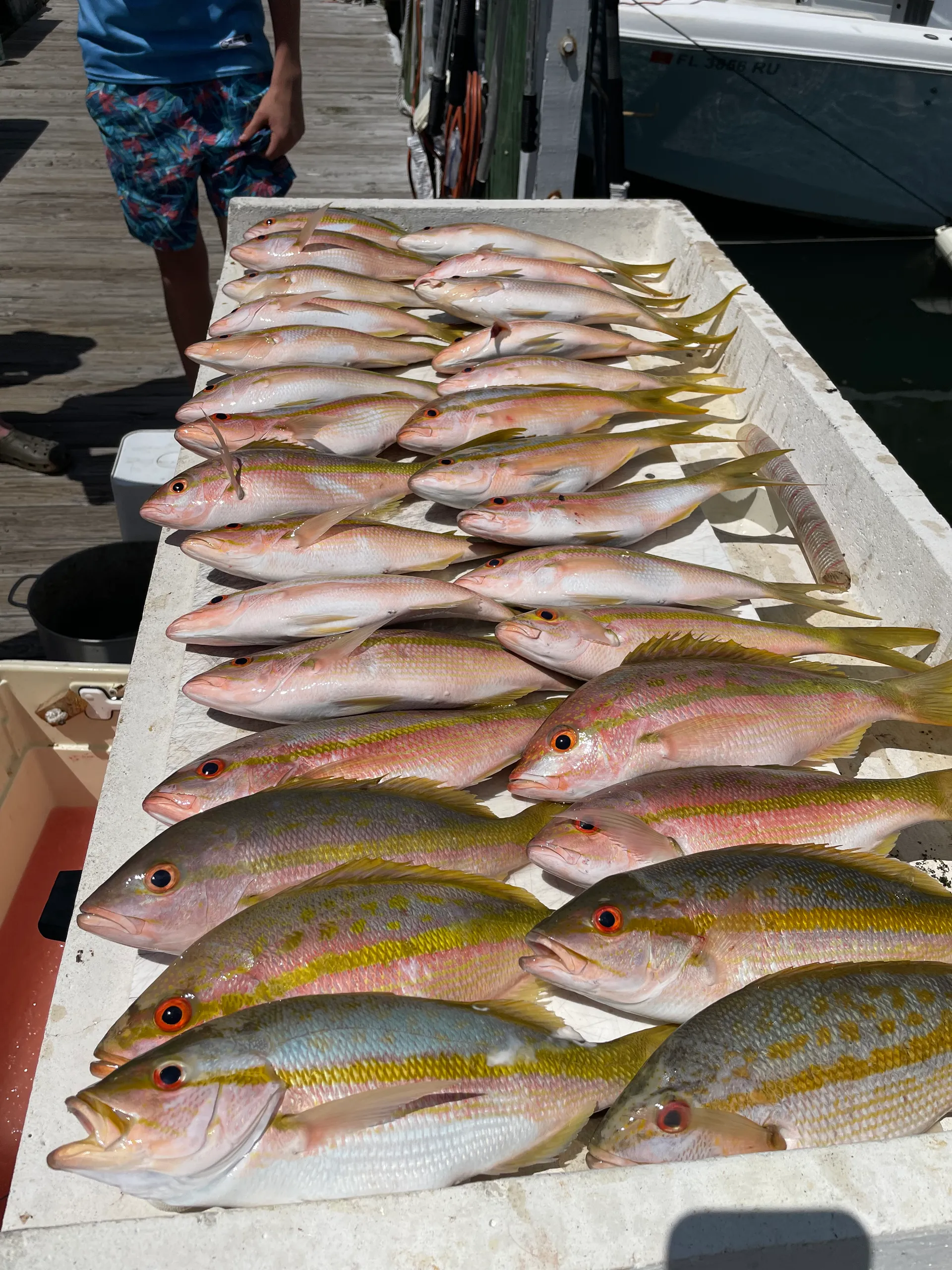 Wonderful Fishing Adventure w Capt. Johnny! 