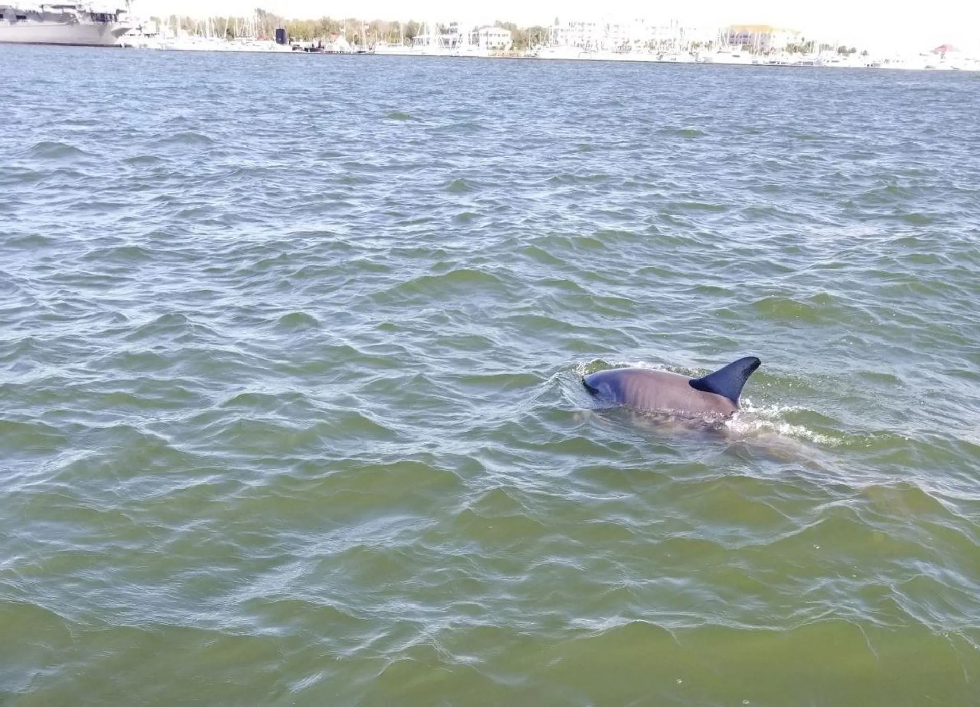 Beautiful 21ft Sea Hunt!