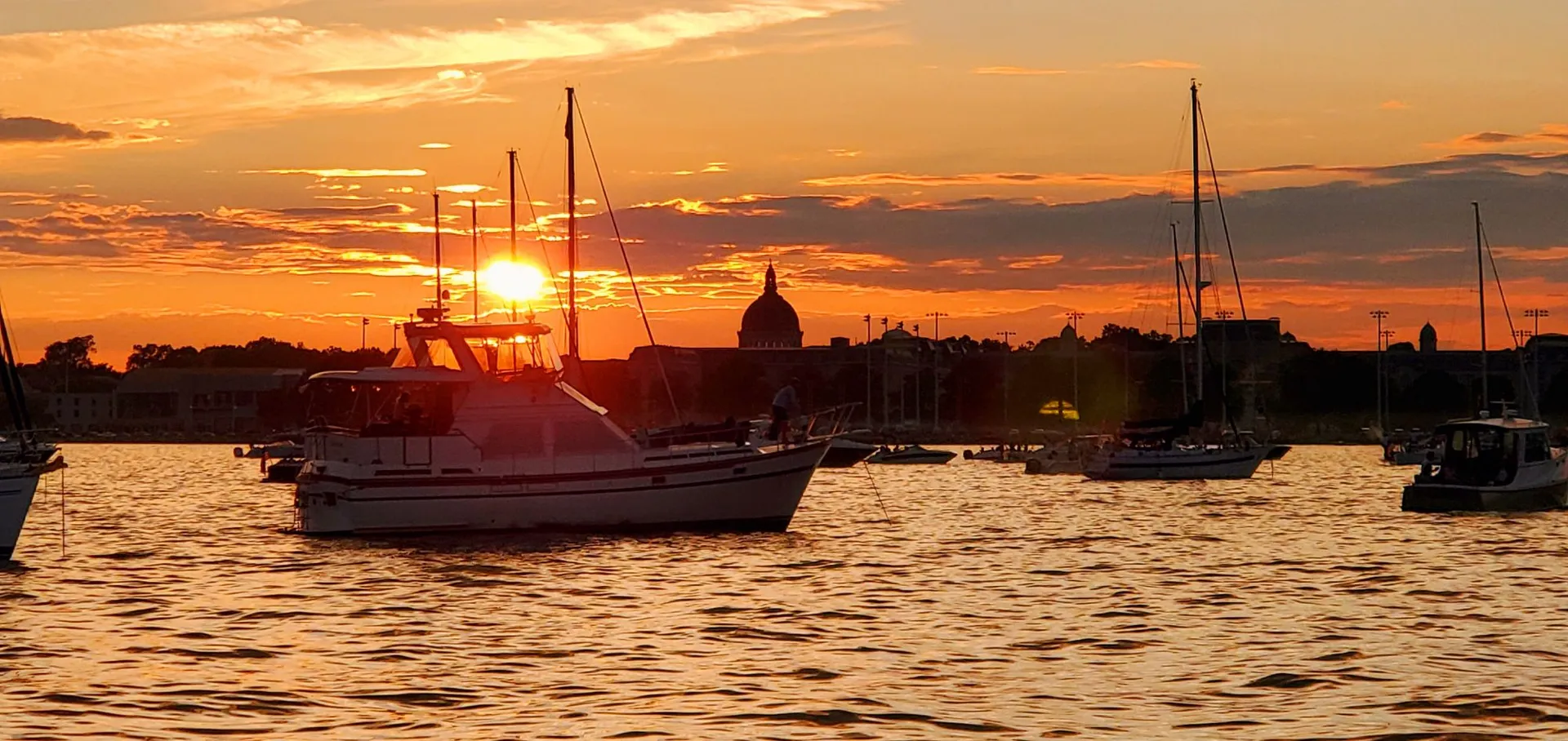 Sail away on the Chesapeake Bay with Chessie from Annapolis!  