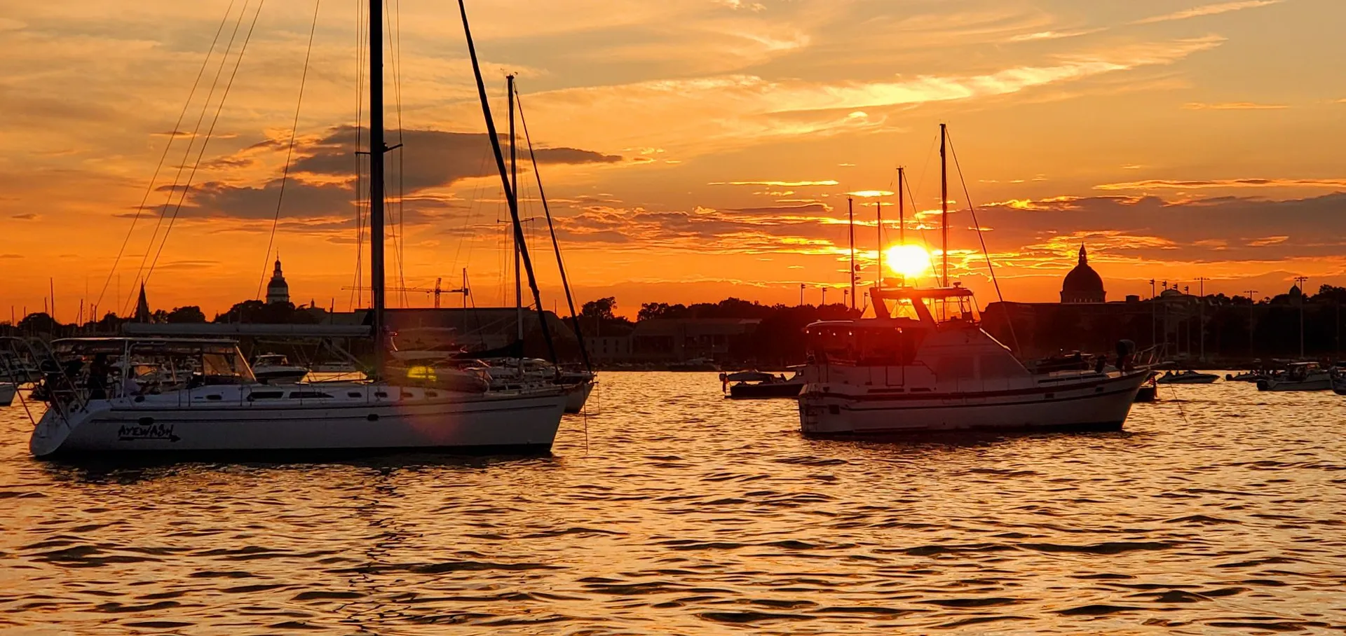 Sail away on the Chesapeake Bay with Chessie from Annapolis!  