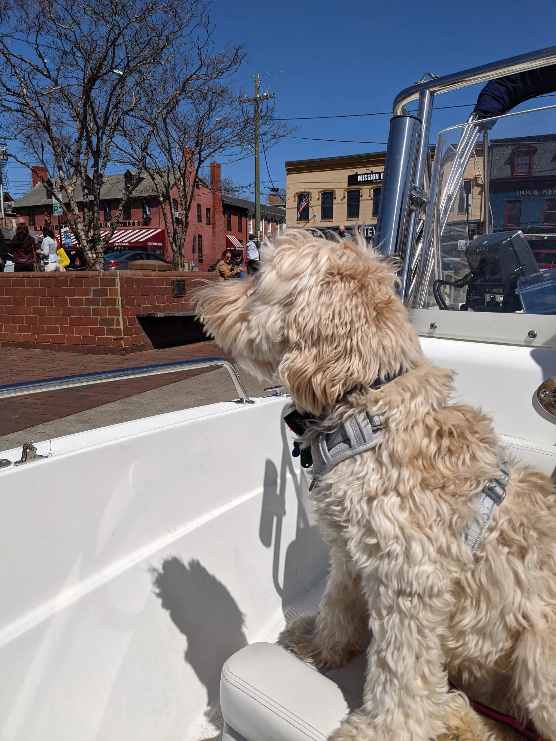 Center Console built for enjoying the Bay