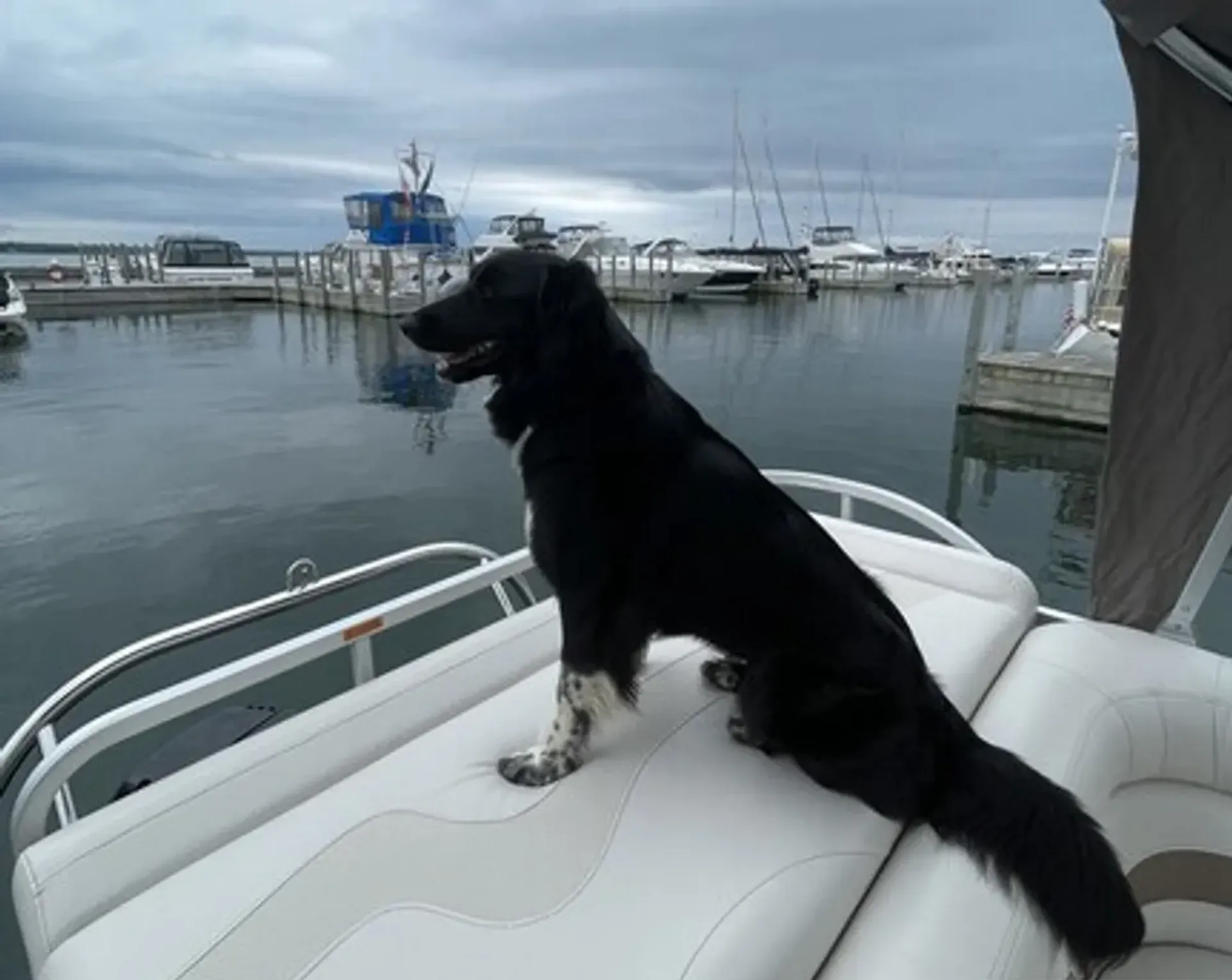 Manitou Pontoon 22 Oasis 8'6" in East Tawas, MI — photo 5