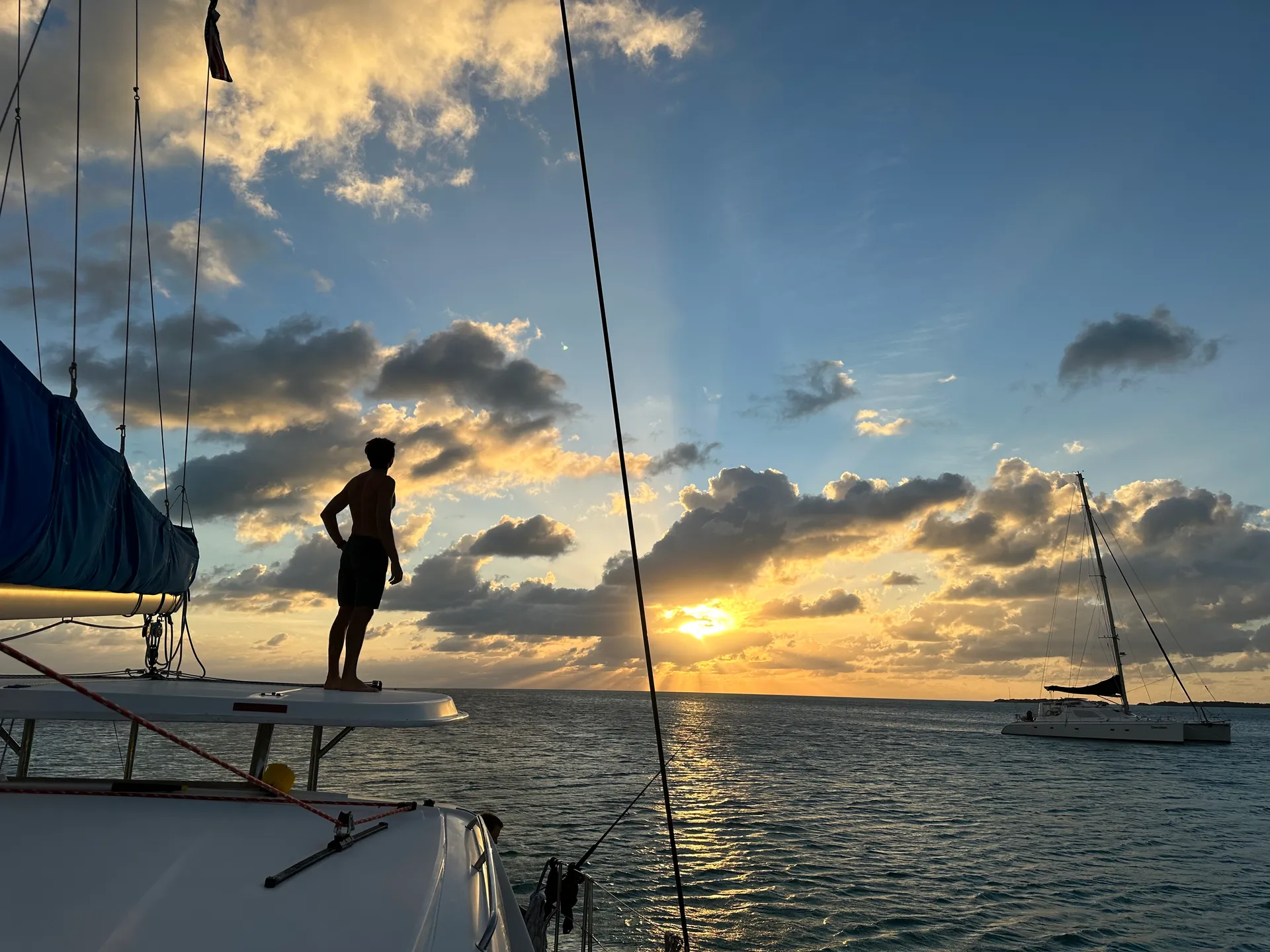 Robertson & Caine Leopard in Miami, FL — photo 8