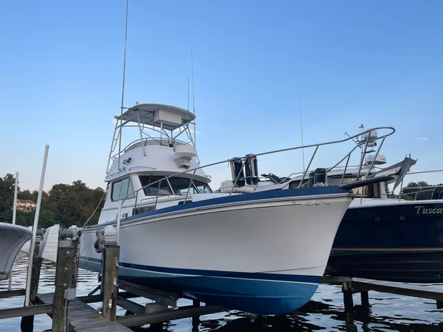 Rent a Shannon Brendan flybridge in Edgewater, MD near me