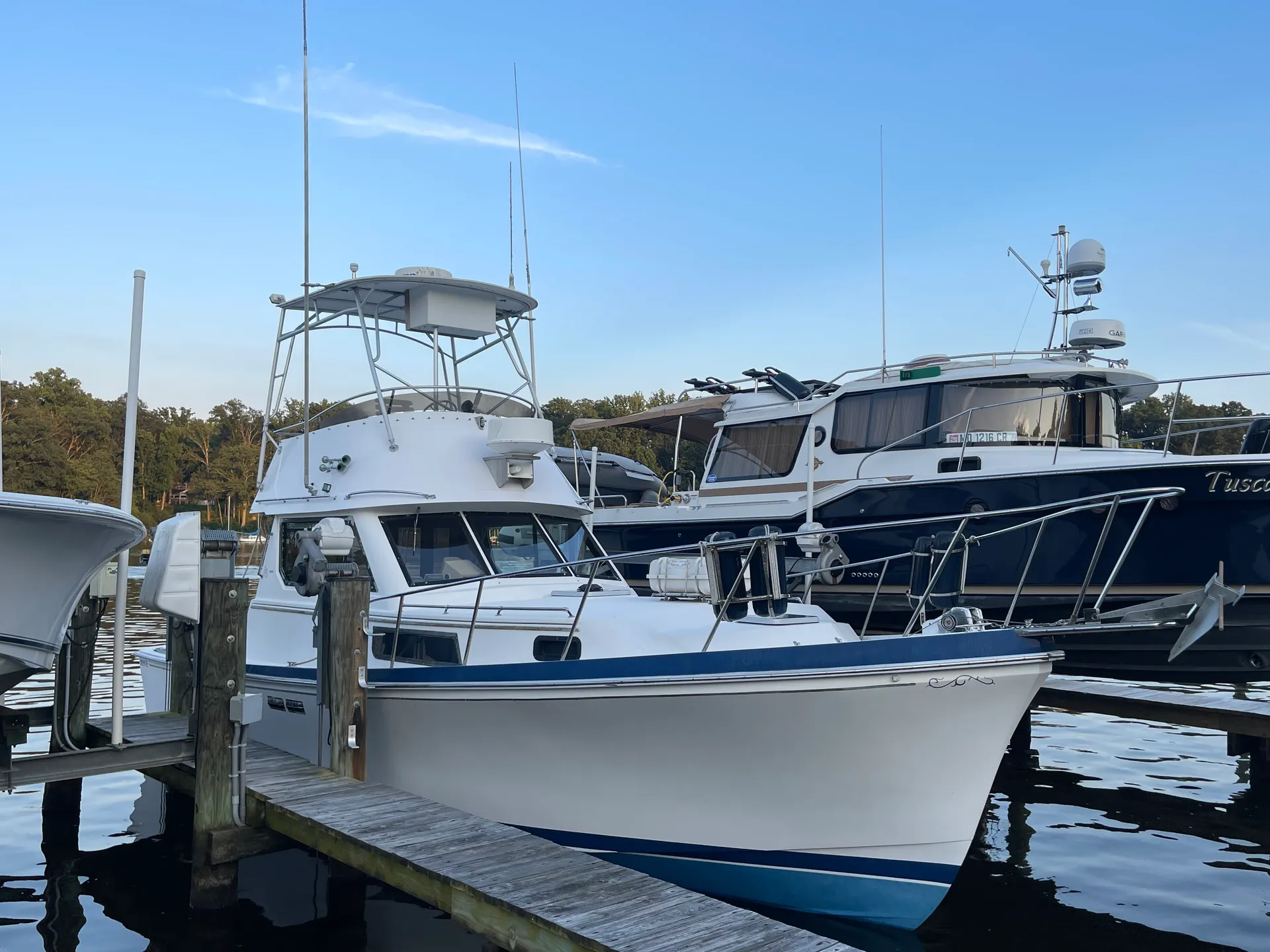 Shannon Brendan 32 in Edgewater, MD — photo 2