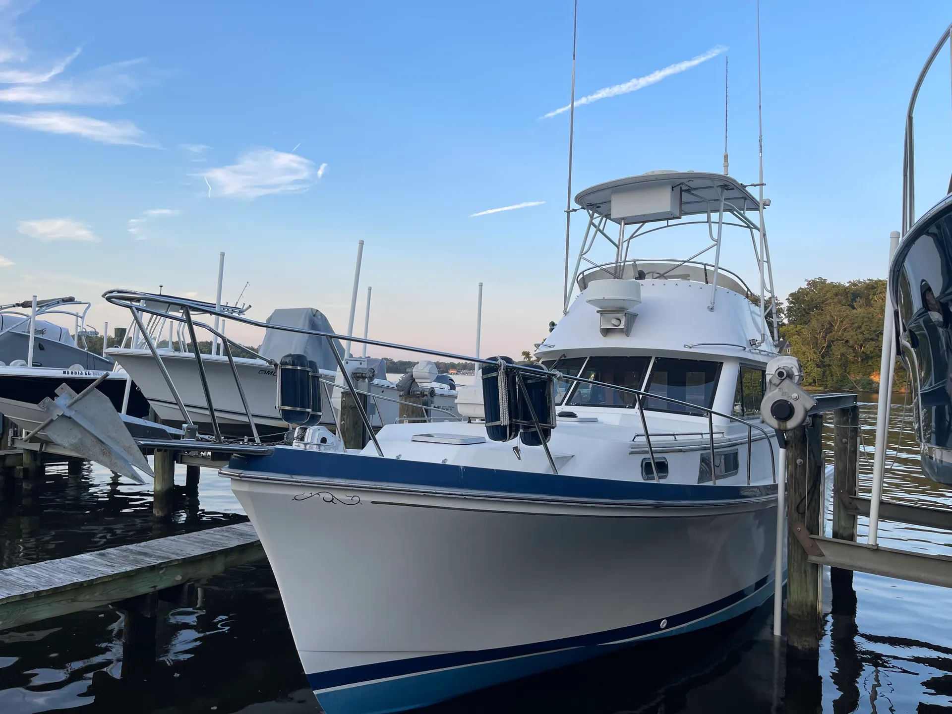 Shannon Brendan 32 in Edgewater, MD — photo 3