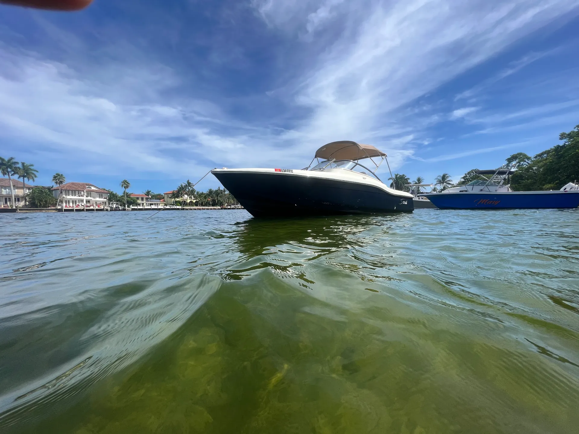 SCOUT BOATS 210 DORADO in Deerfield Beach, FL — photo 3