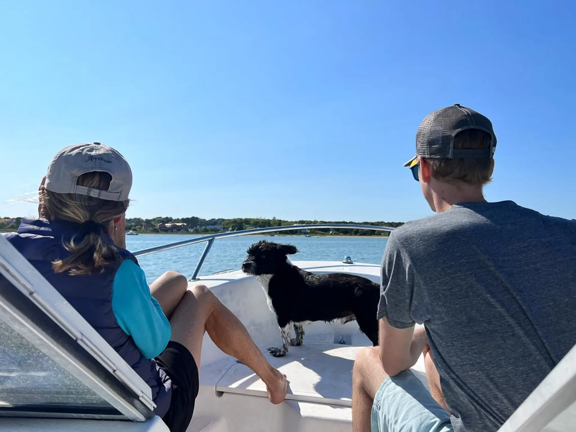 Boston Whaler 16 Ventura in Edgartown, MA — photo 5
