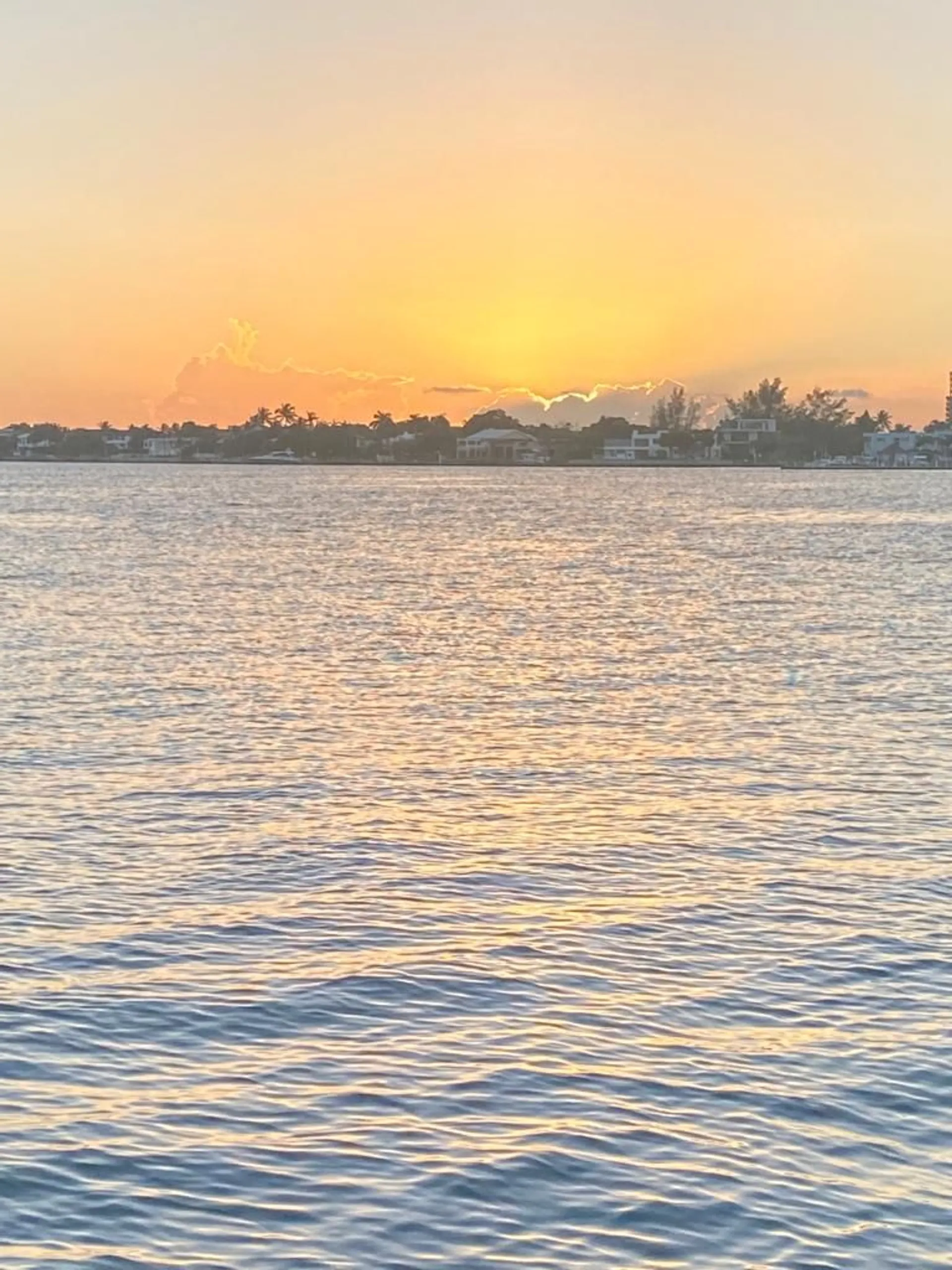 Vista Mar Miami Tour