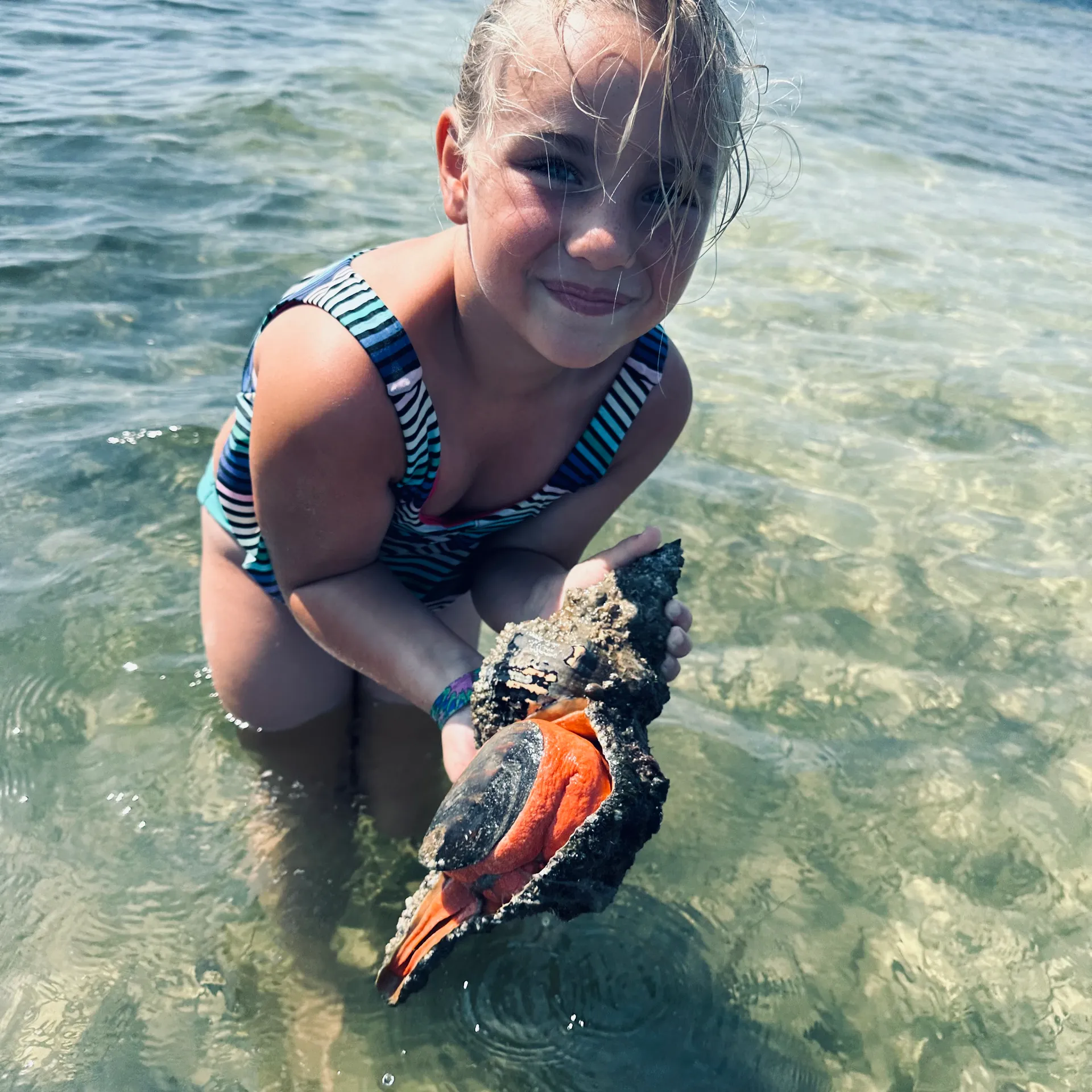 Flip Side Eco Charter Sanibel/Captiva and out lying islands