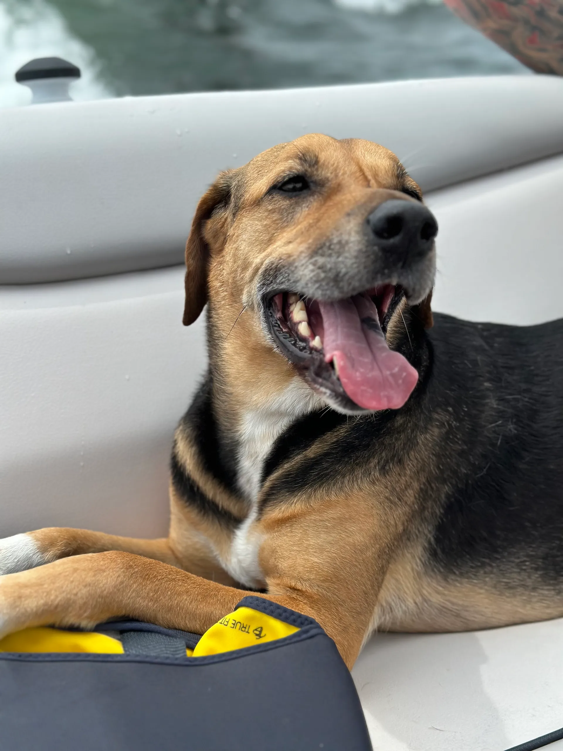 AXIS WAKE RESEARCH T22 W/TRAILER in Belle Isle, FL — photo 6