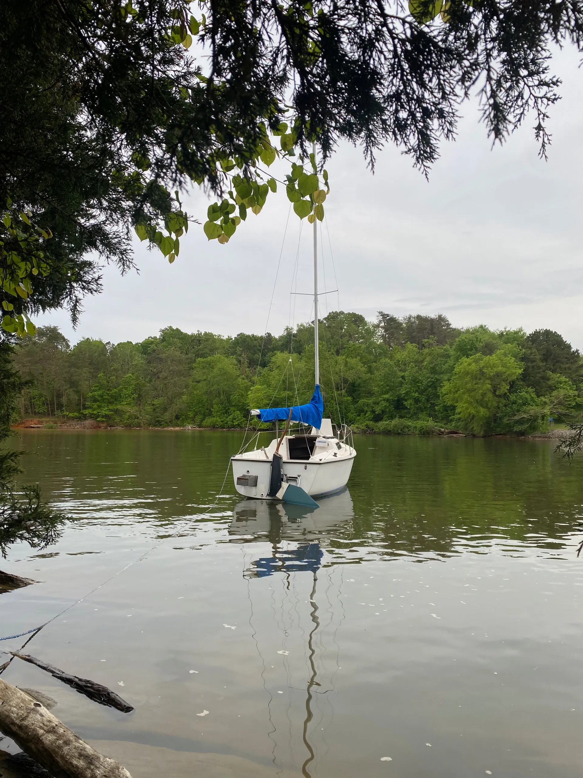 Hunter 23 in Knoxville, TN — photo 7