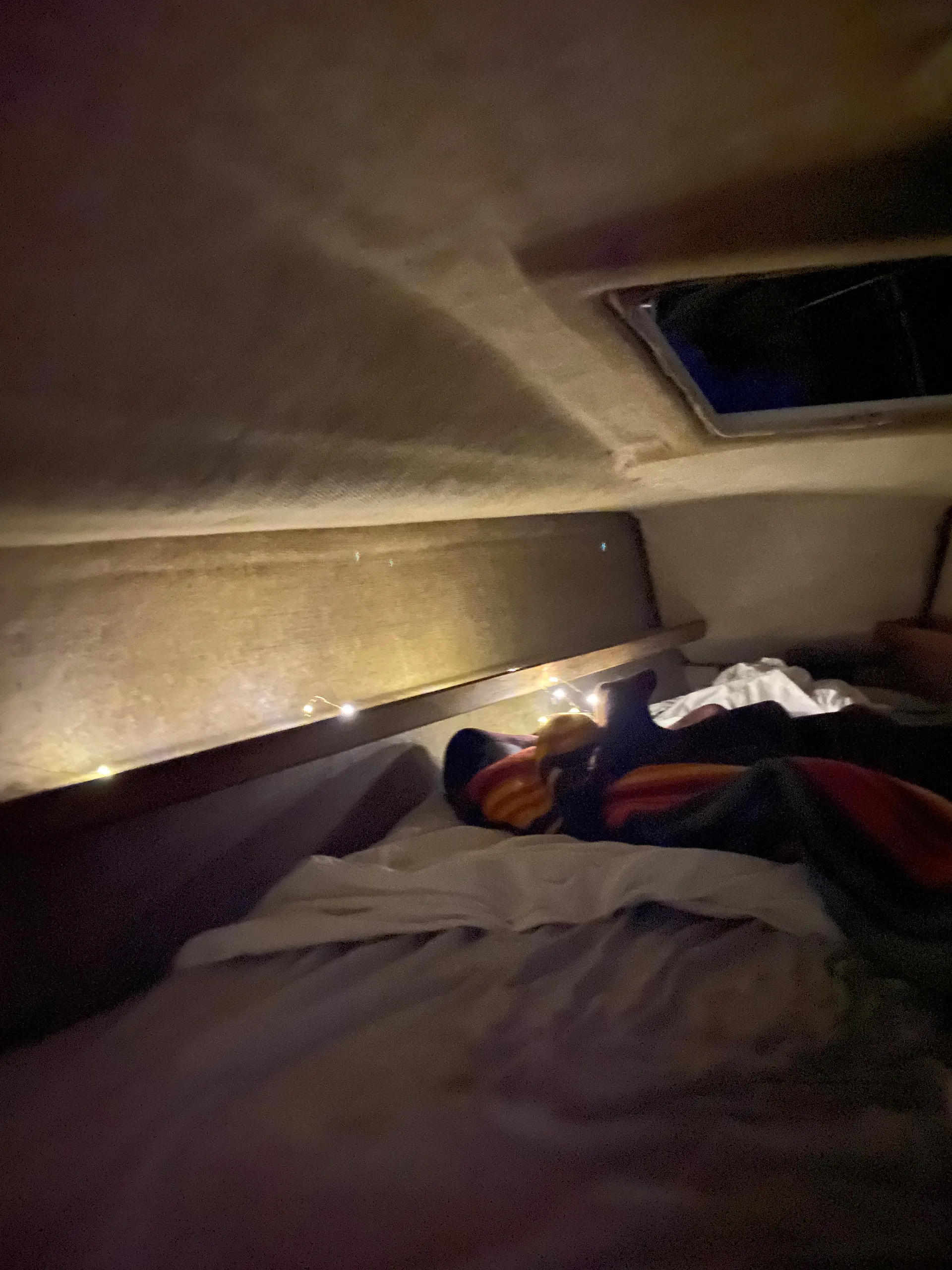 Hunter 23 in Knoxville, TN — photo 8