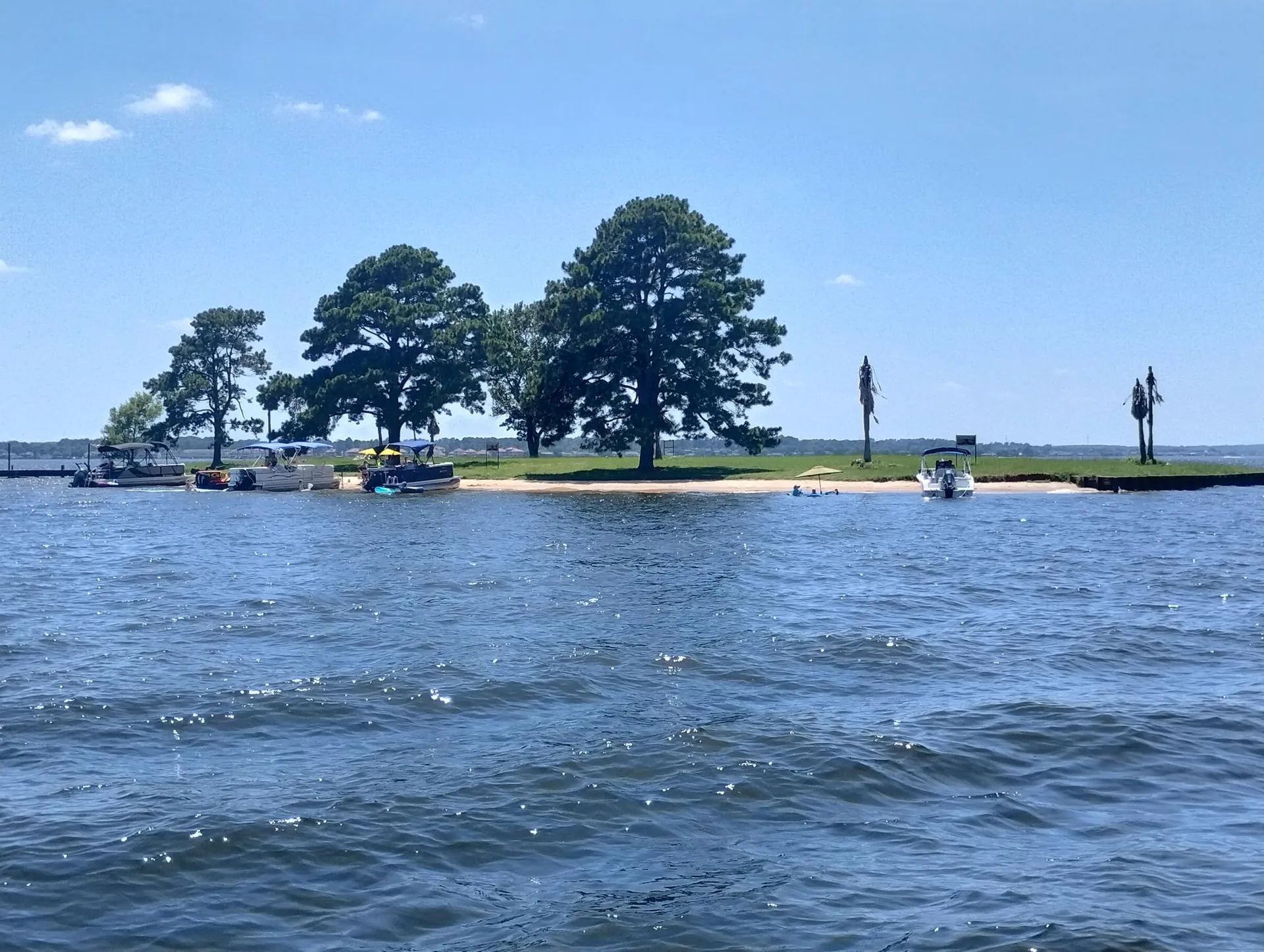 Yamaha AR192  in Conroe, TX — photo 10