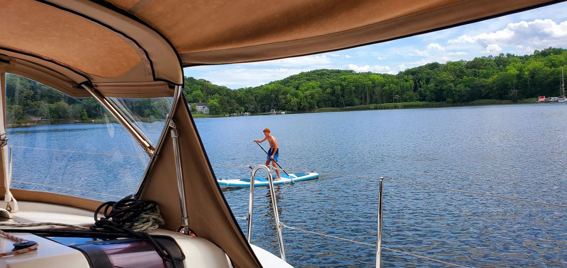 Sail away on the Chesapeake Bay with Chessie from Annapolis!  