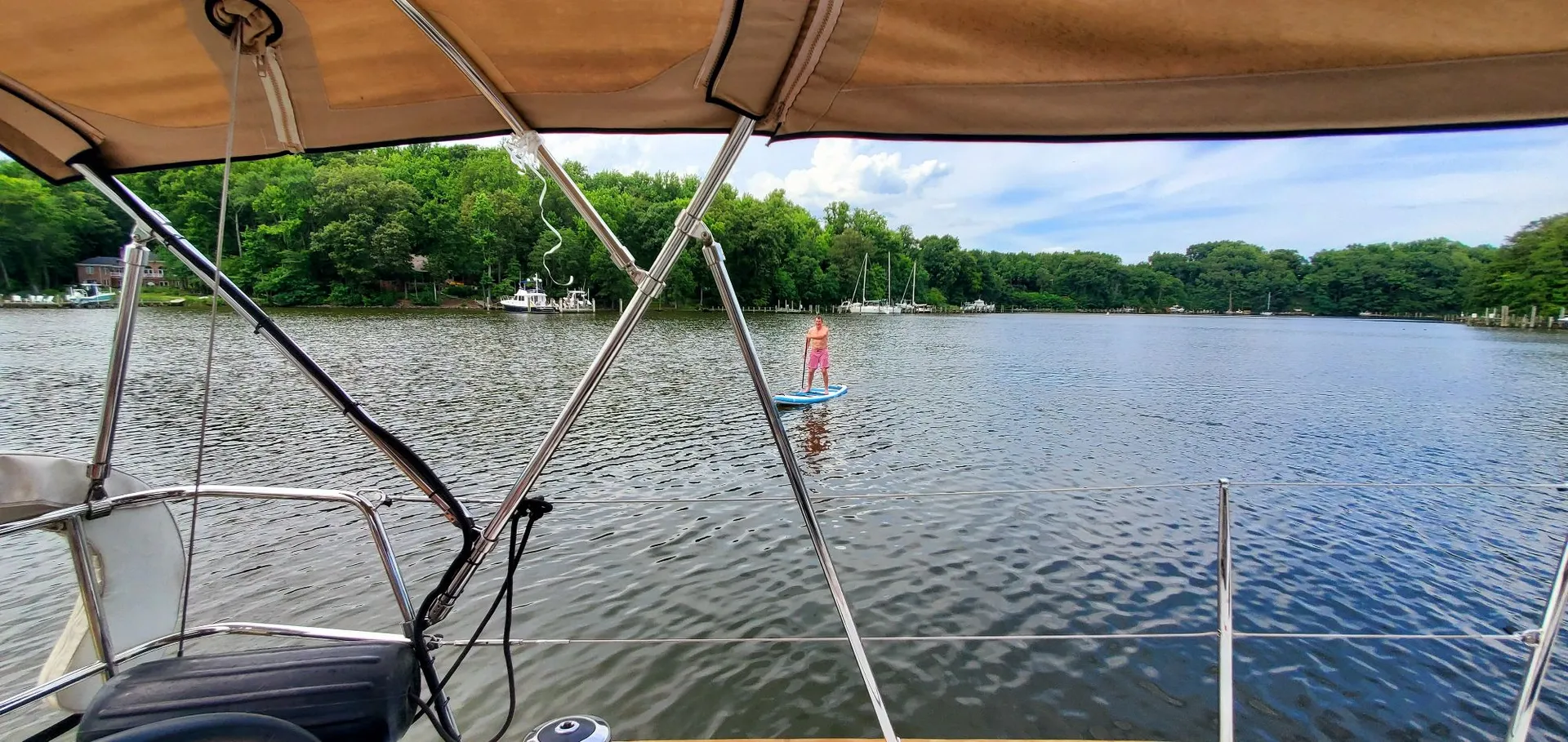 Sail away on the Chesapeake Bay with Chessie from Annapolis!  