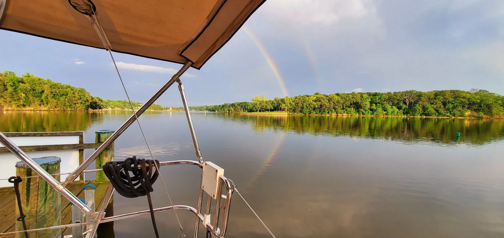 Sail away on the Chesapeake Bay with Chessie from Annapolis!  