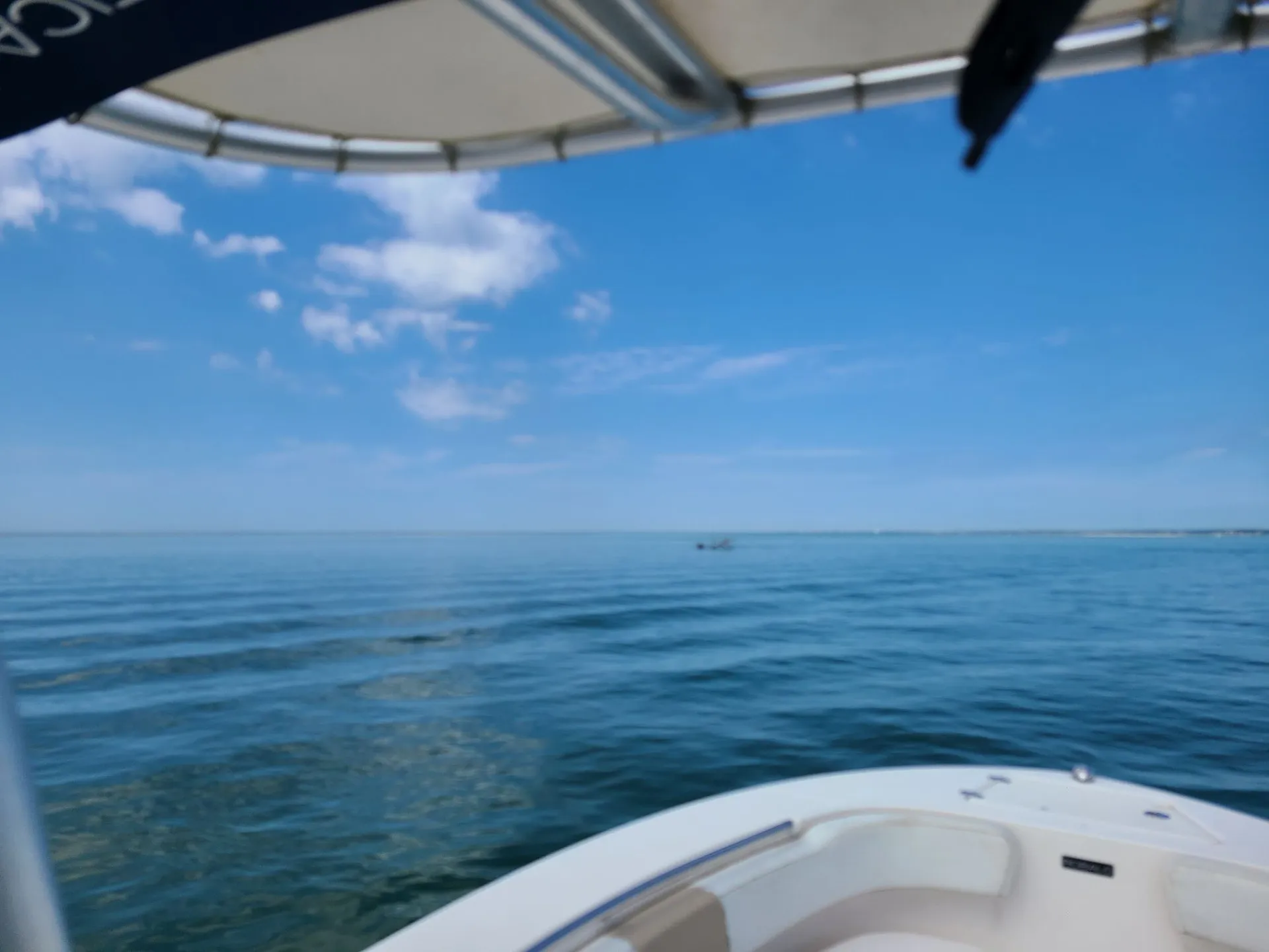 Robalo R200 Family Fun & Fishing Cape N More - Located in South Dennis