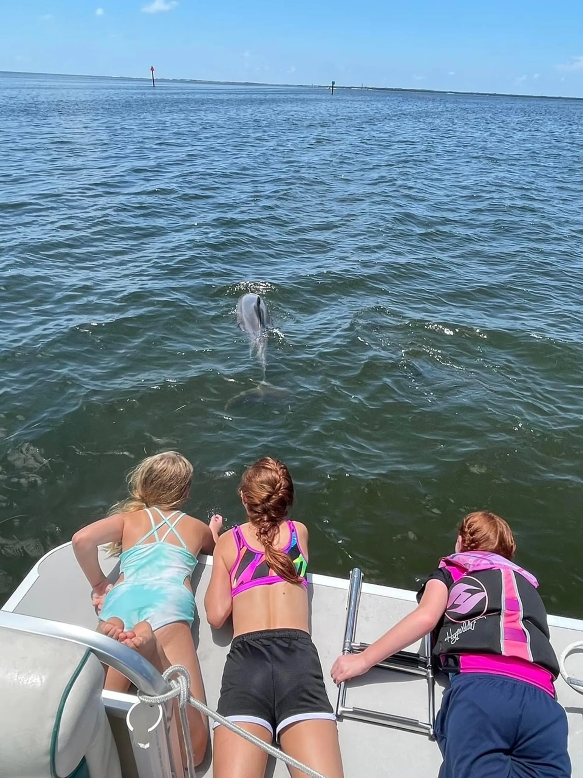 Pontoon great for Island Hoping, Dolphin watching, Sunsets and more