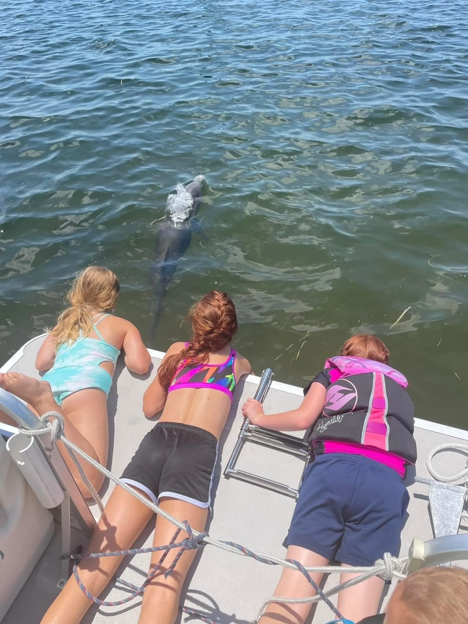 Pontoon great for Island Hoping, Dolphin watching, Sunsets and more