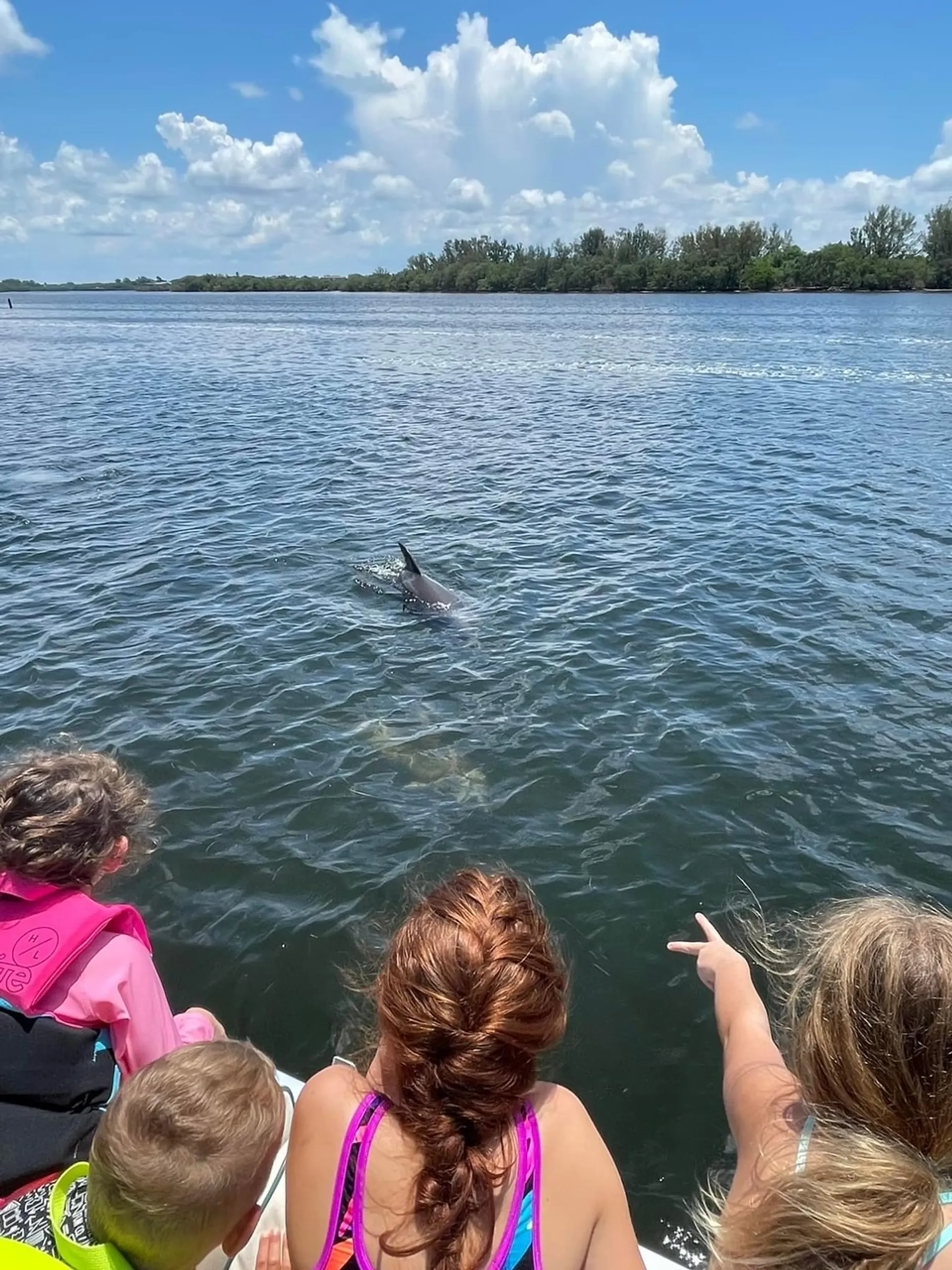 Pontoon great for Island Hoping, Dolphin watching, Sunsets and more