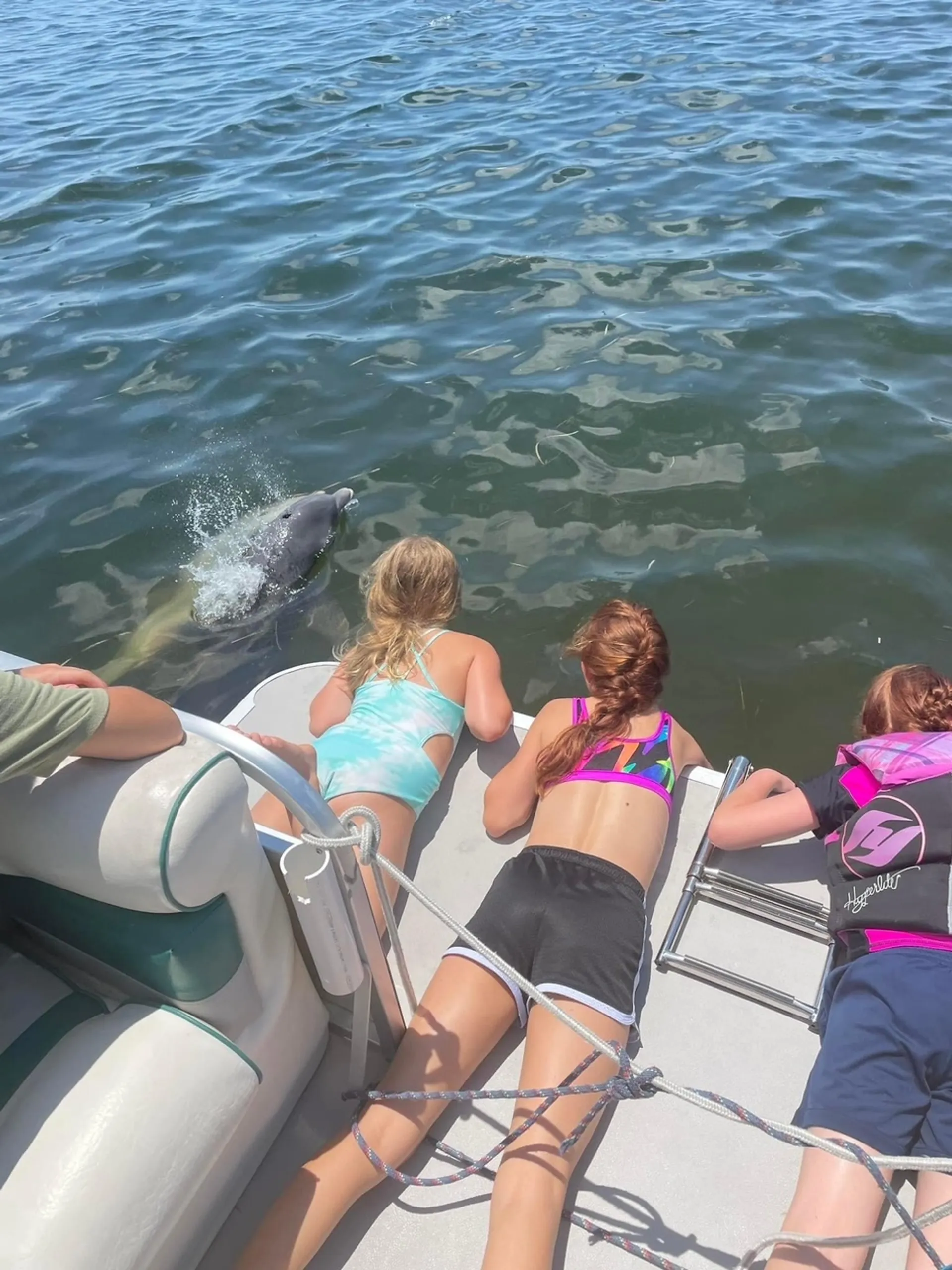 Pontoon great for Island Hoping, Dolphin watching, Sunsets and more