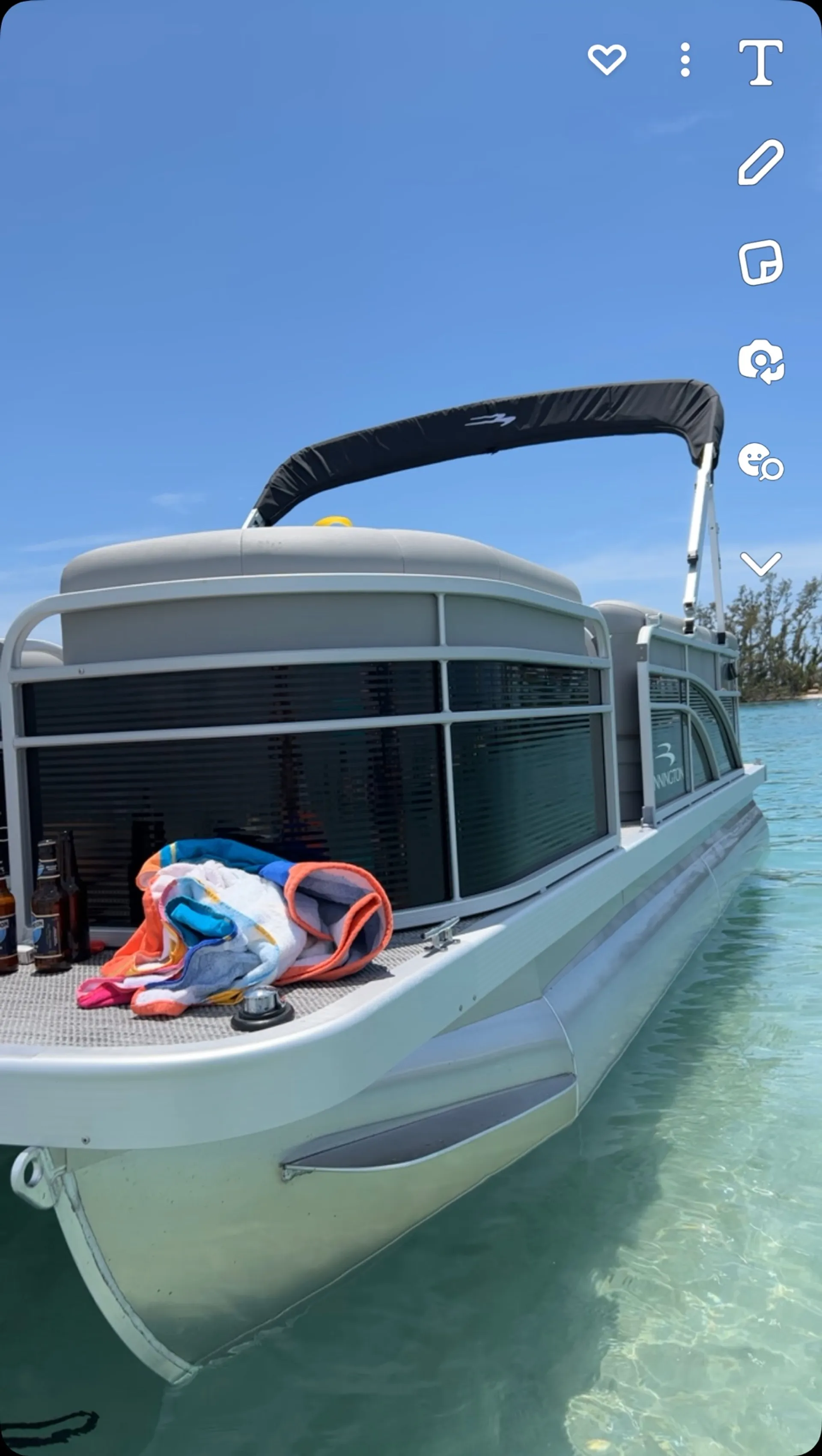 BENNINGTON MARINE 20 SL in Placida, FL — photo 2