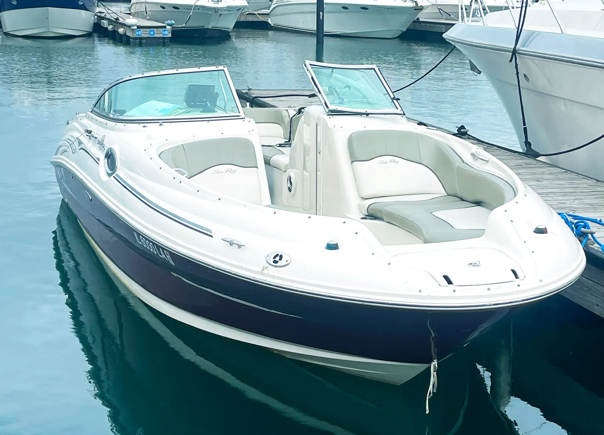 Sea Ray Boats Sundeck in Chicago, IL — photo 2