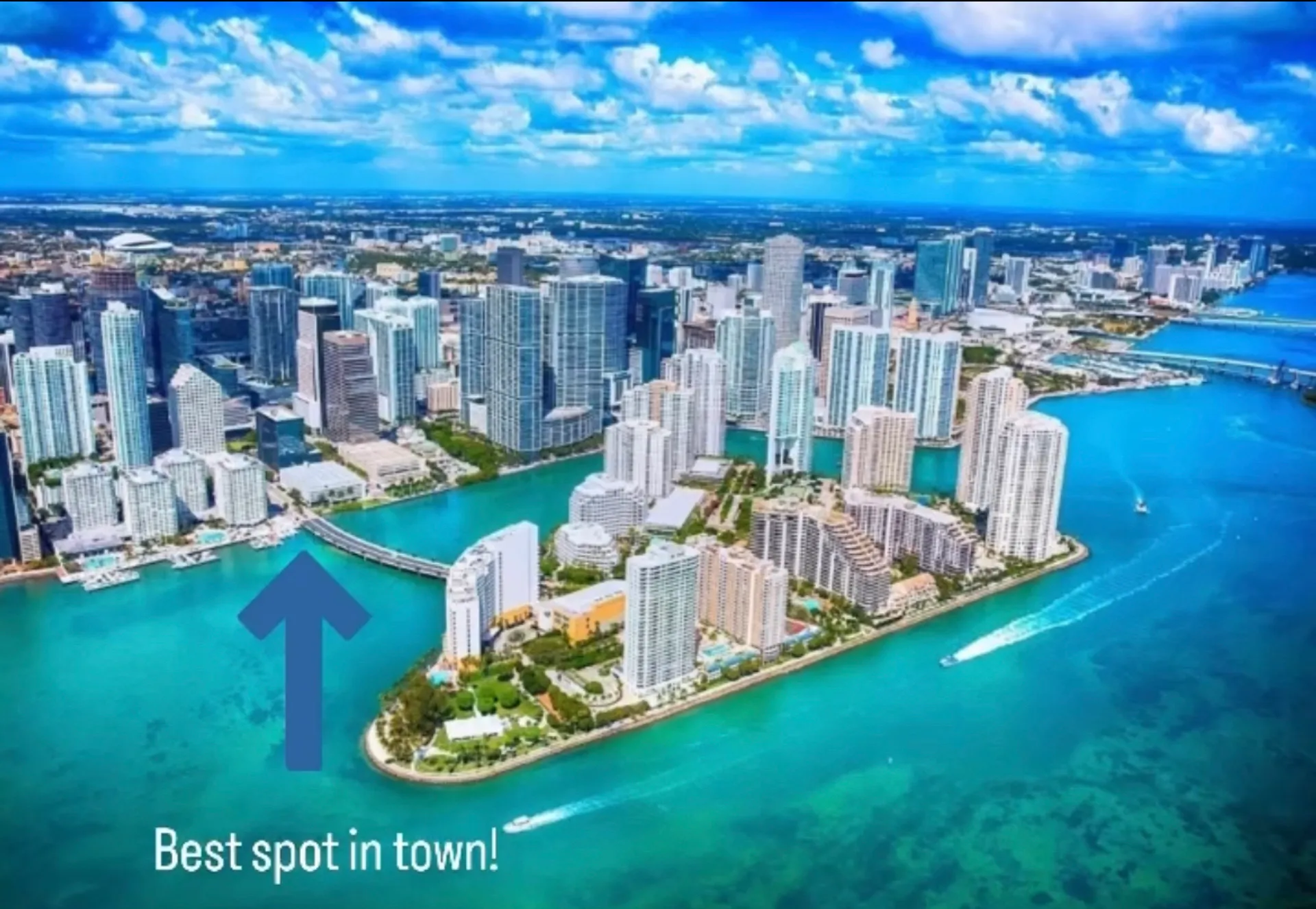 Robertson & Caine Leopard in Miami, FL — photo 2