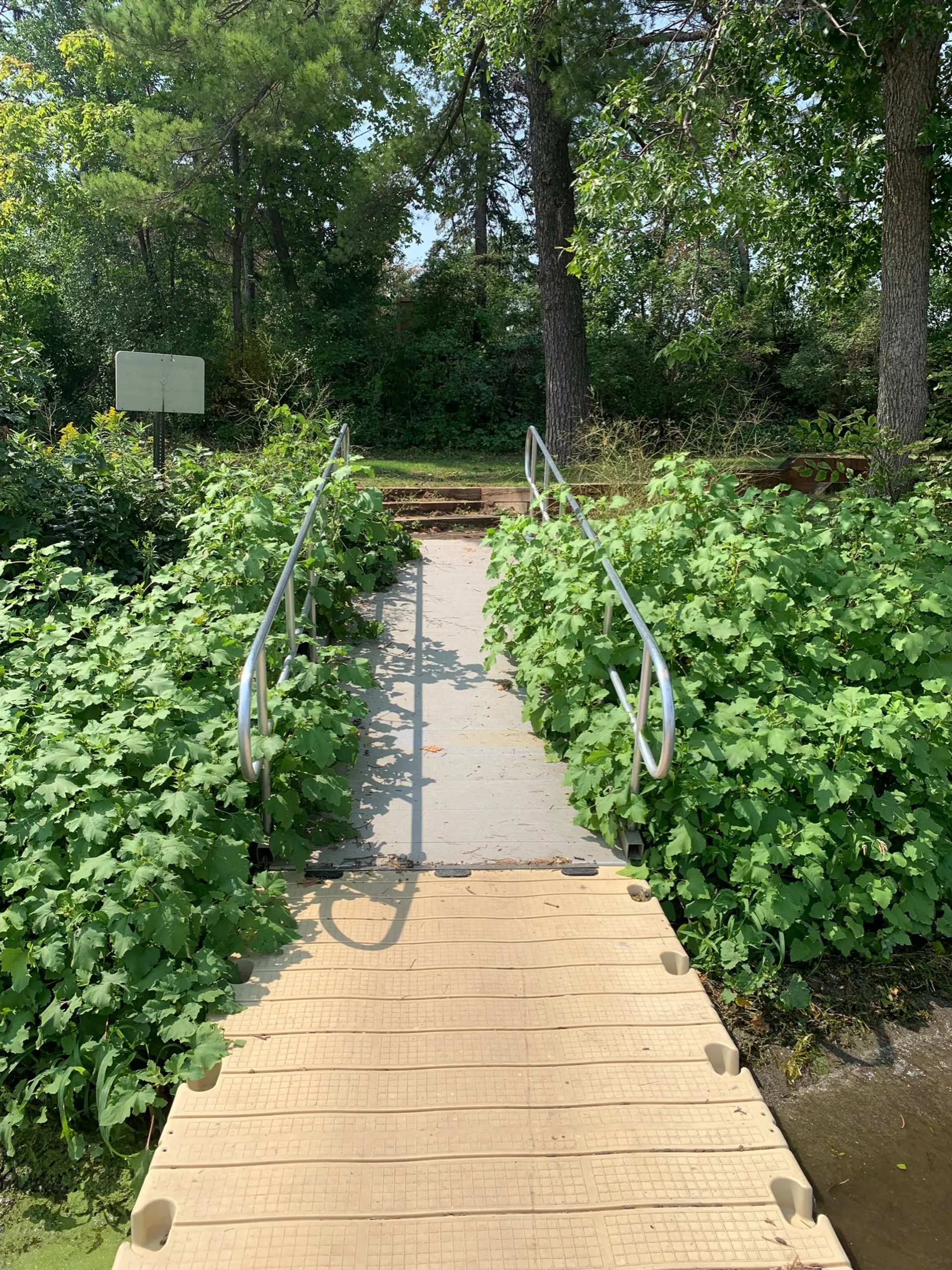 22ft 115HP Tritoon on Medicine Lake