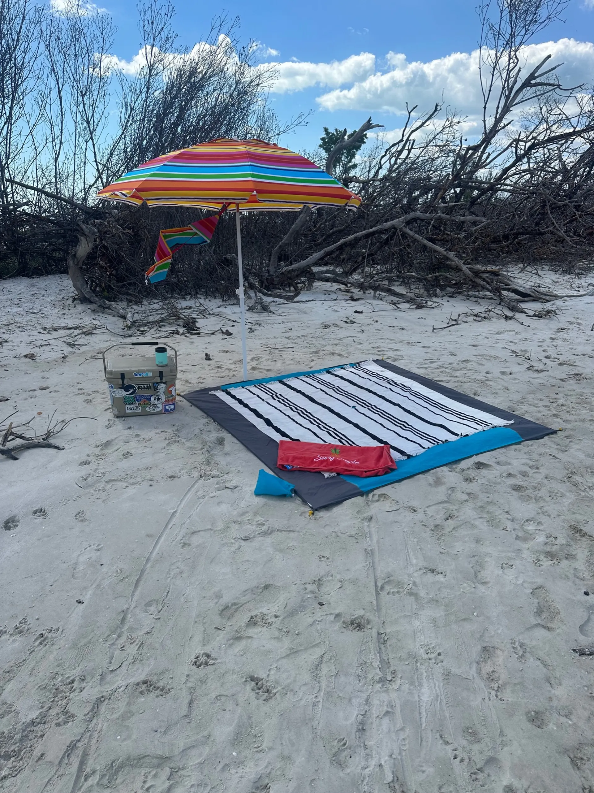 “Fish Happens” in SWFL