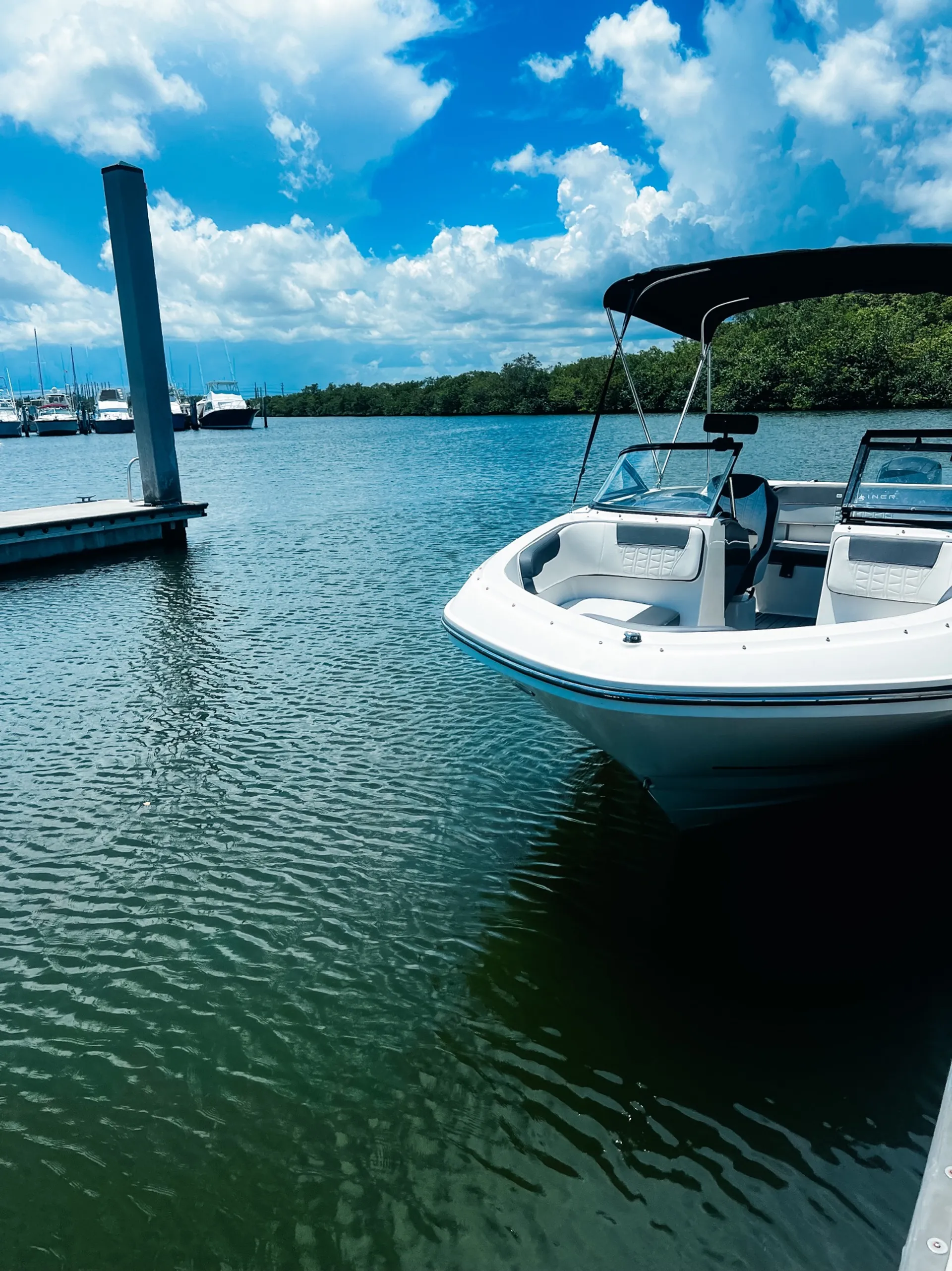 BAYLINER VR5 BOWRIDER in Homestead, FL — photo 10