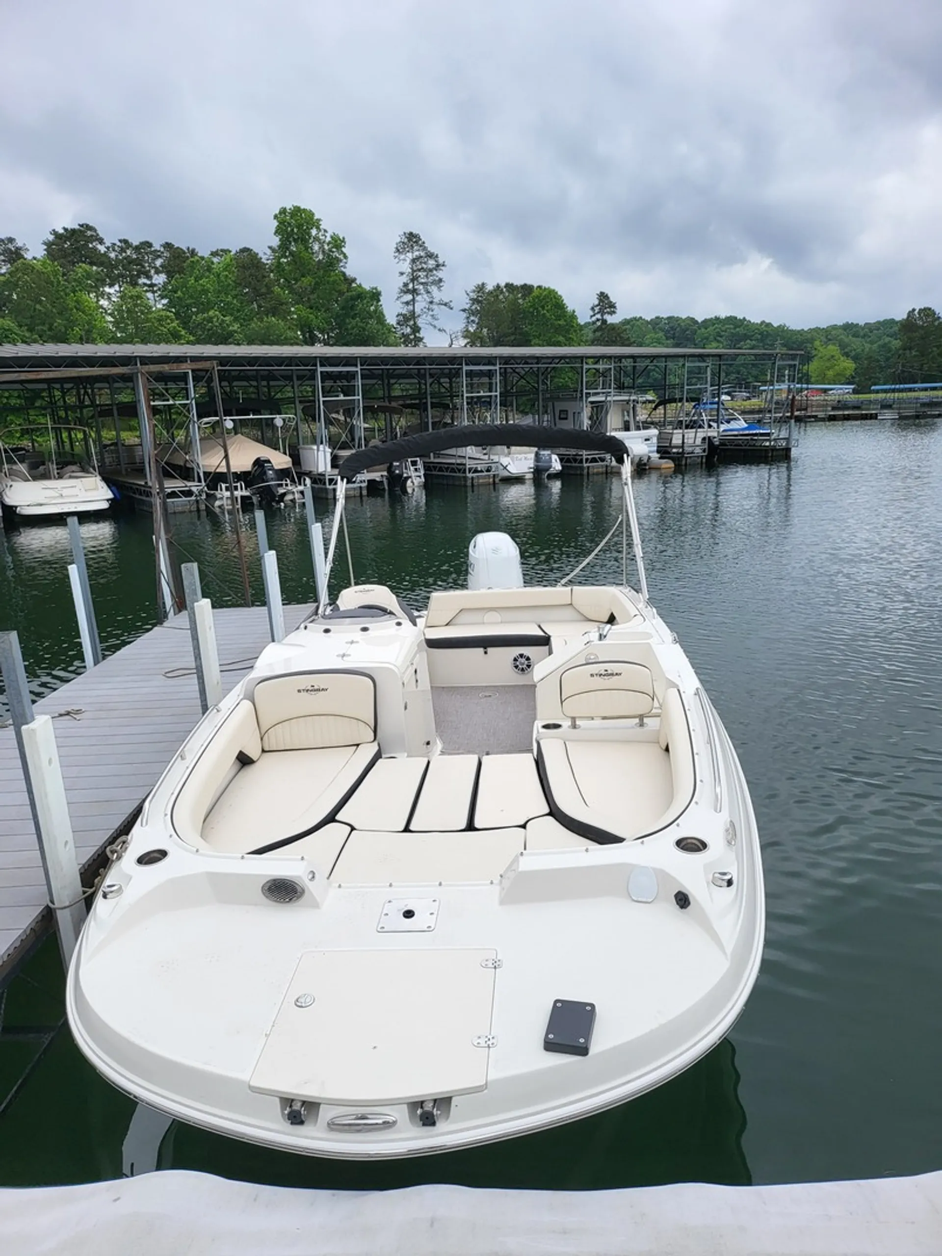 Stingray Ski/Fishing 12person Deckboat for Lake Lanier