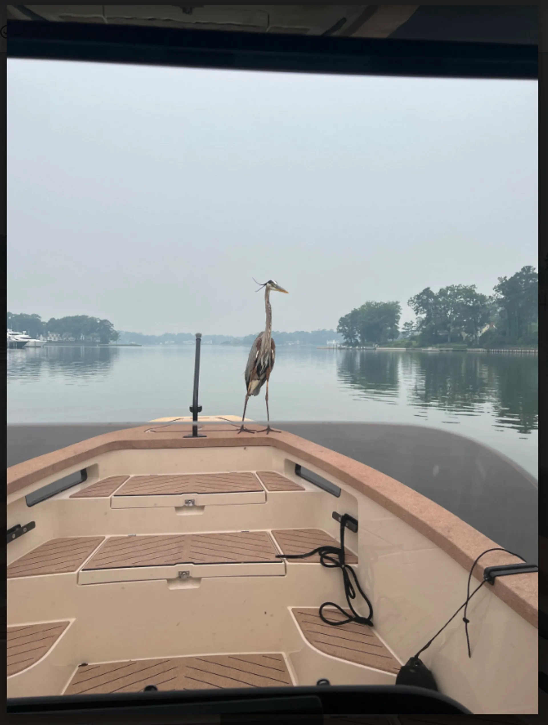 XShore Eelex 8000 in Virginia Beach, VA — photo 4