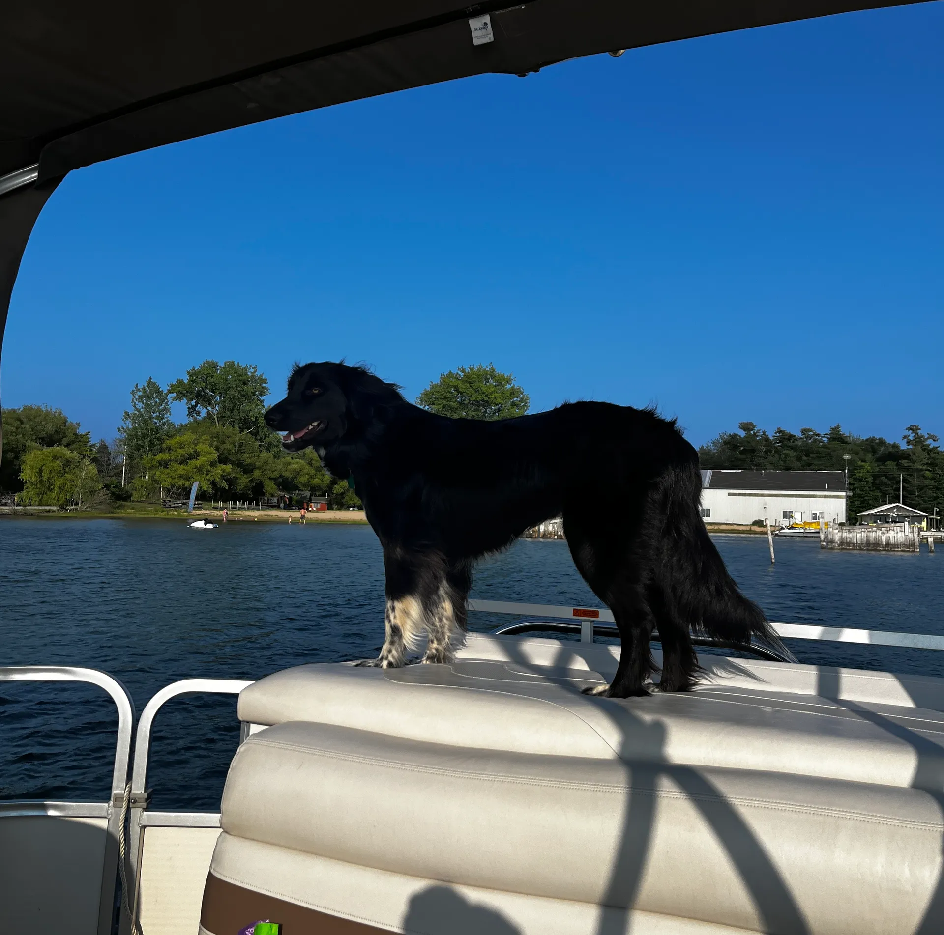 Manitou Pontoon 22 Oasis 8'6" in East Tawas, MI — photo 4