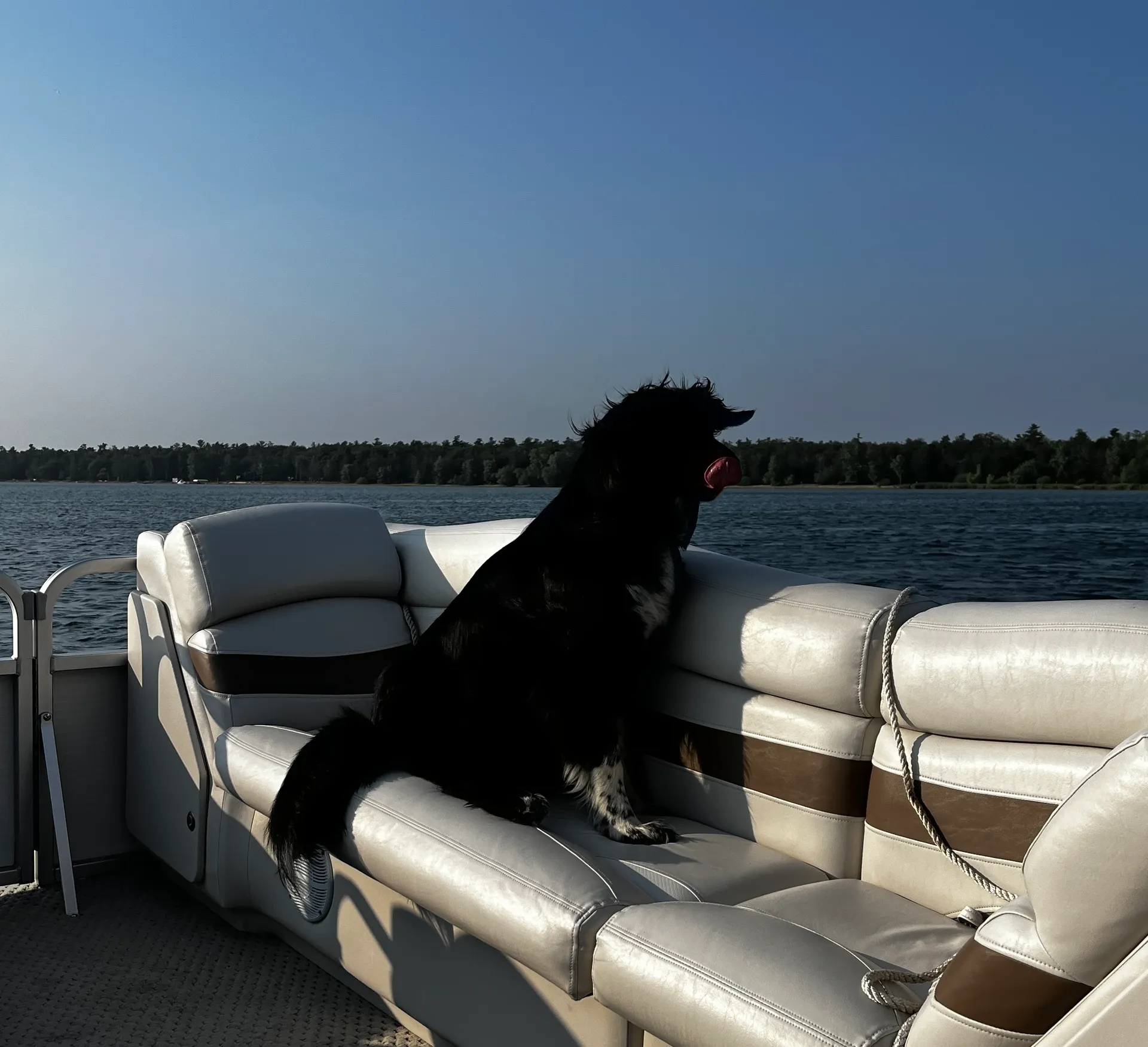 Manitou Pontoon 22 Oasis 8'6" in East Tawas, MI — photo 6