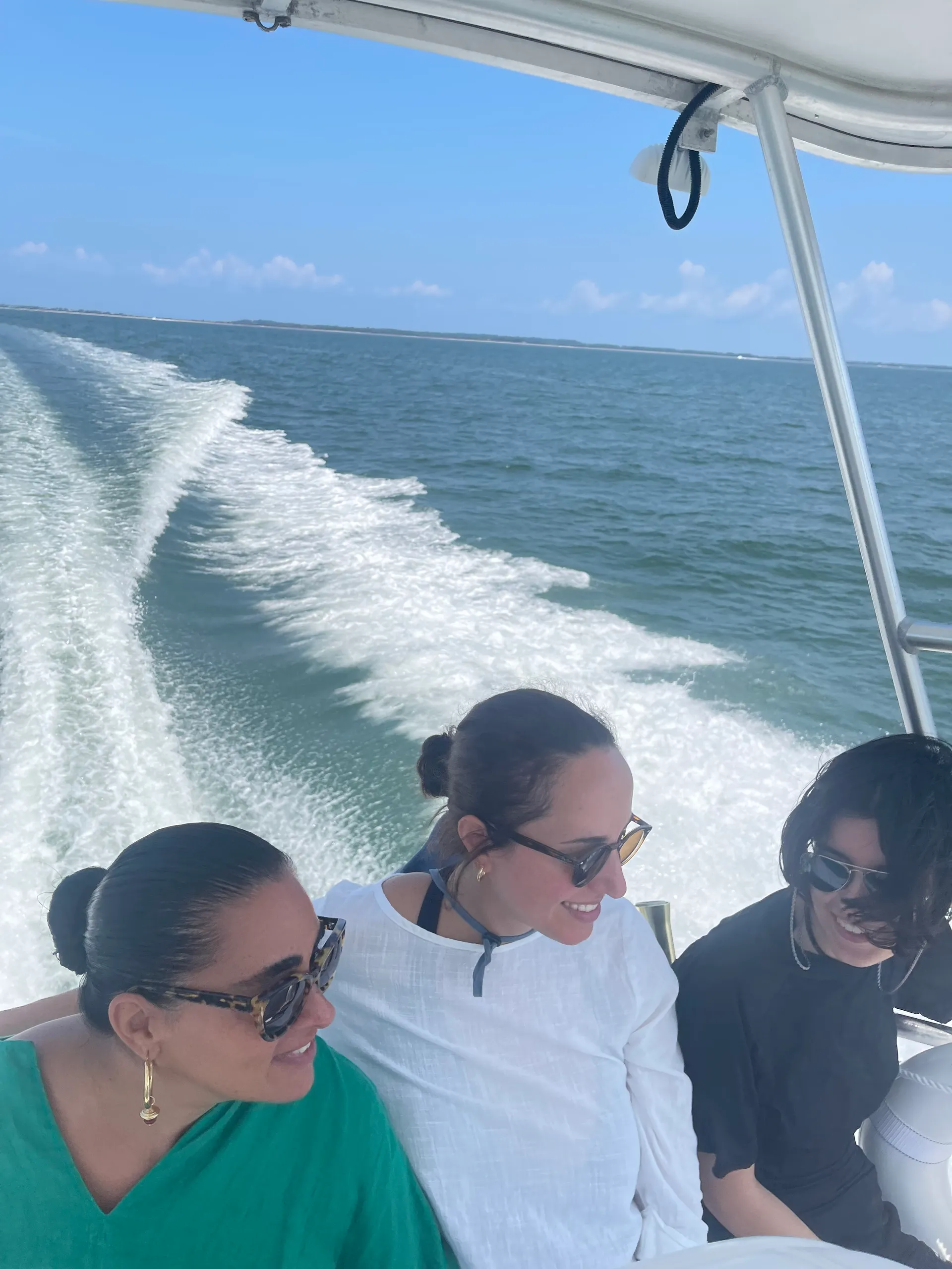 31’ Bertram with local Captain & fuel included.