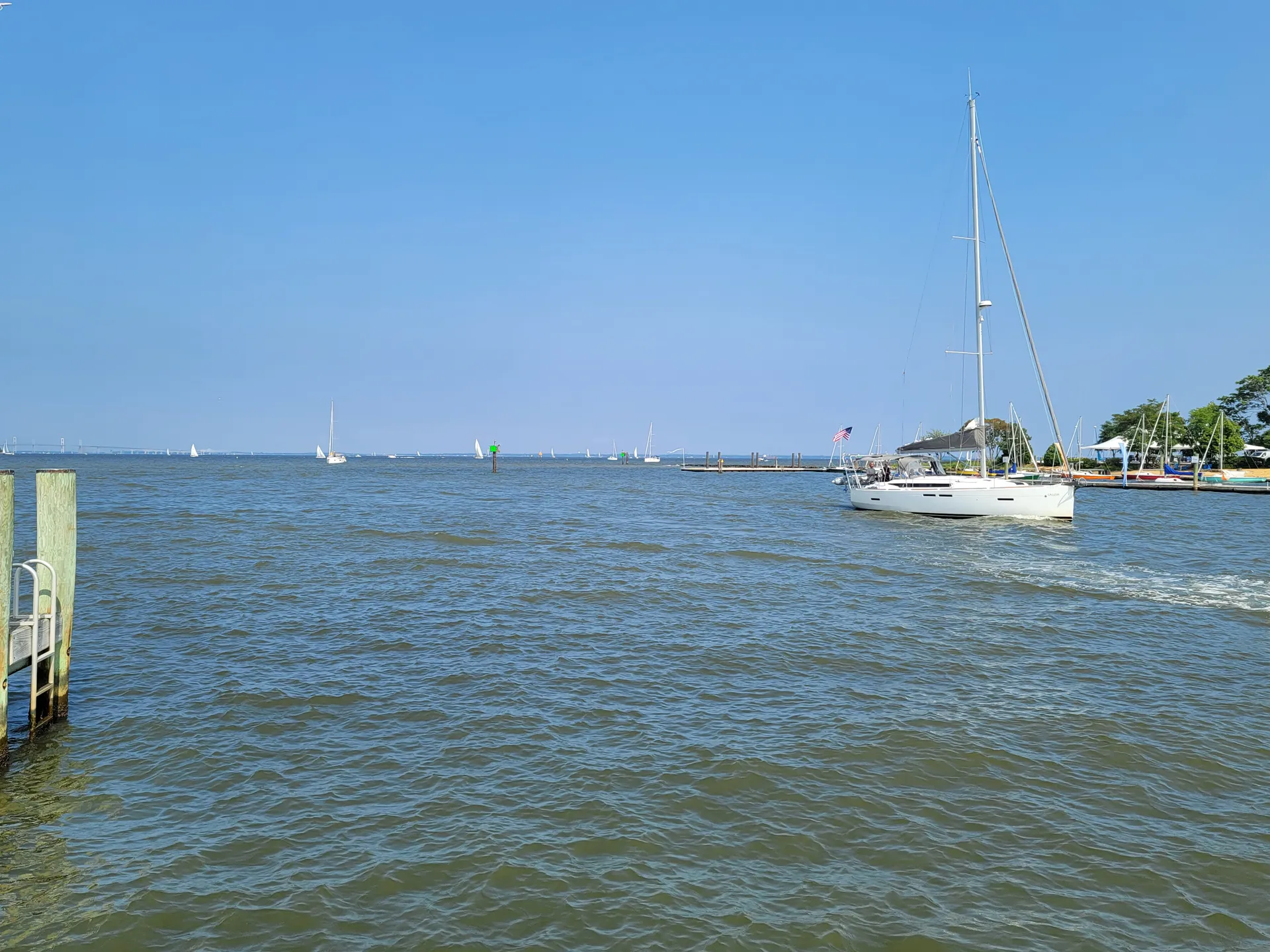 Sail away on the Chesapeake Bay with Chessie from Annapolis!  