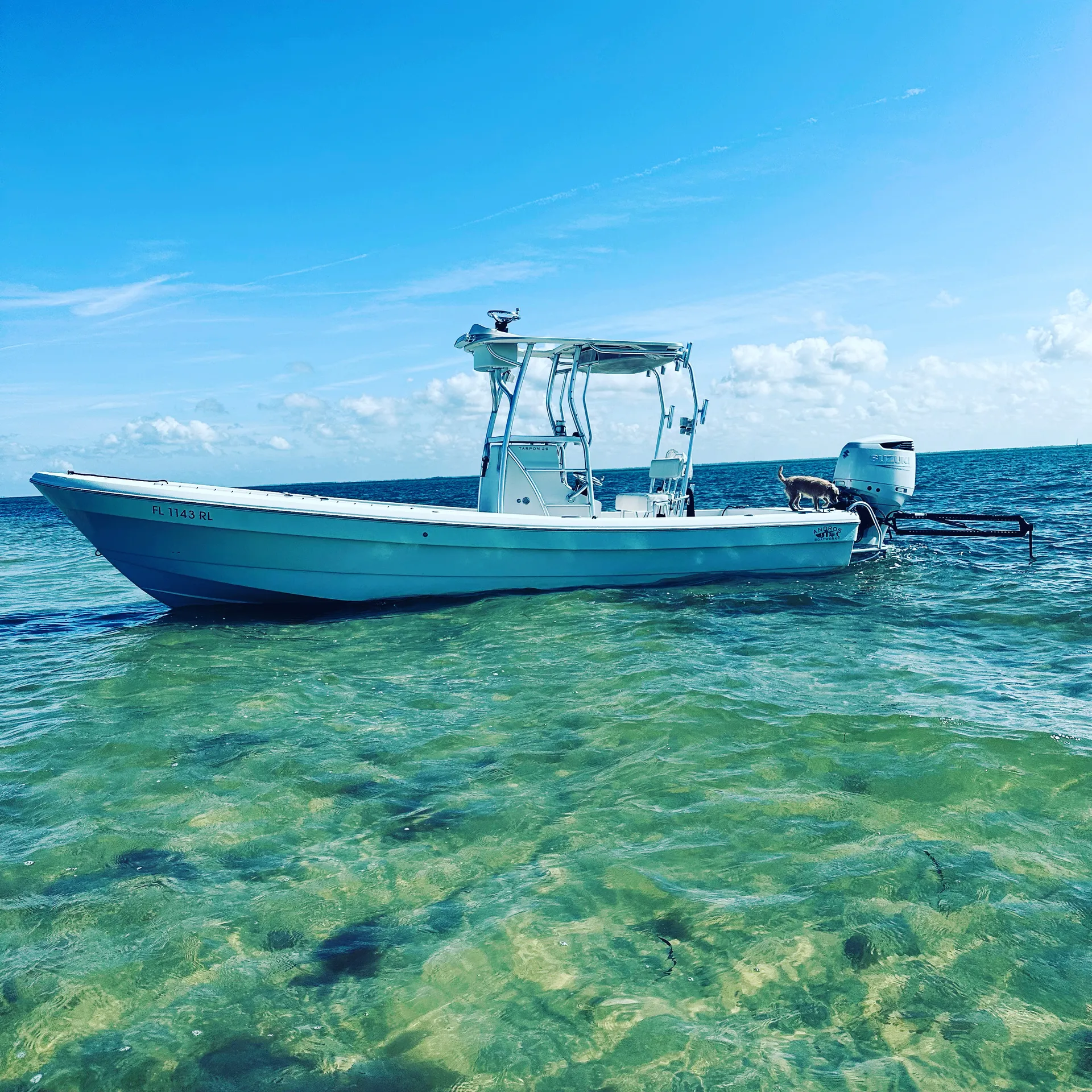 Flip Side Eco Charter Sanibel/Captiva and out lying islands