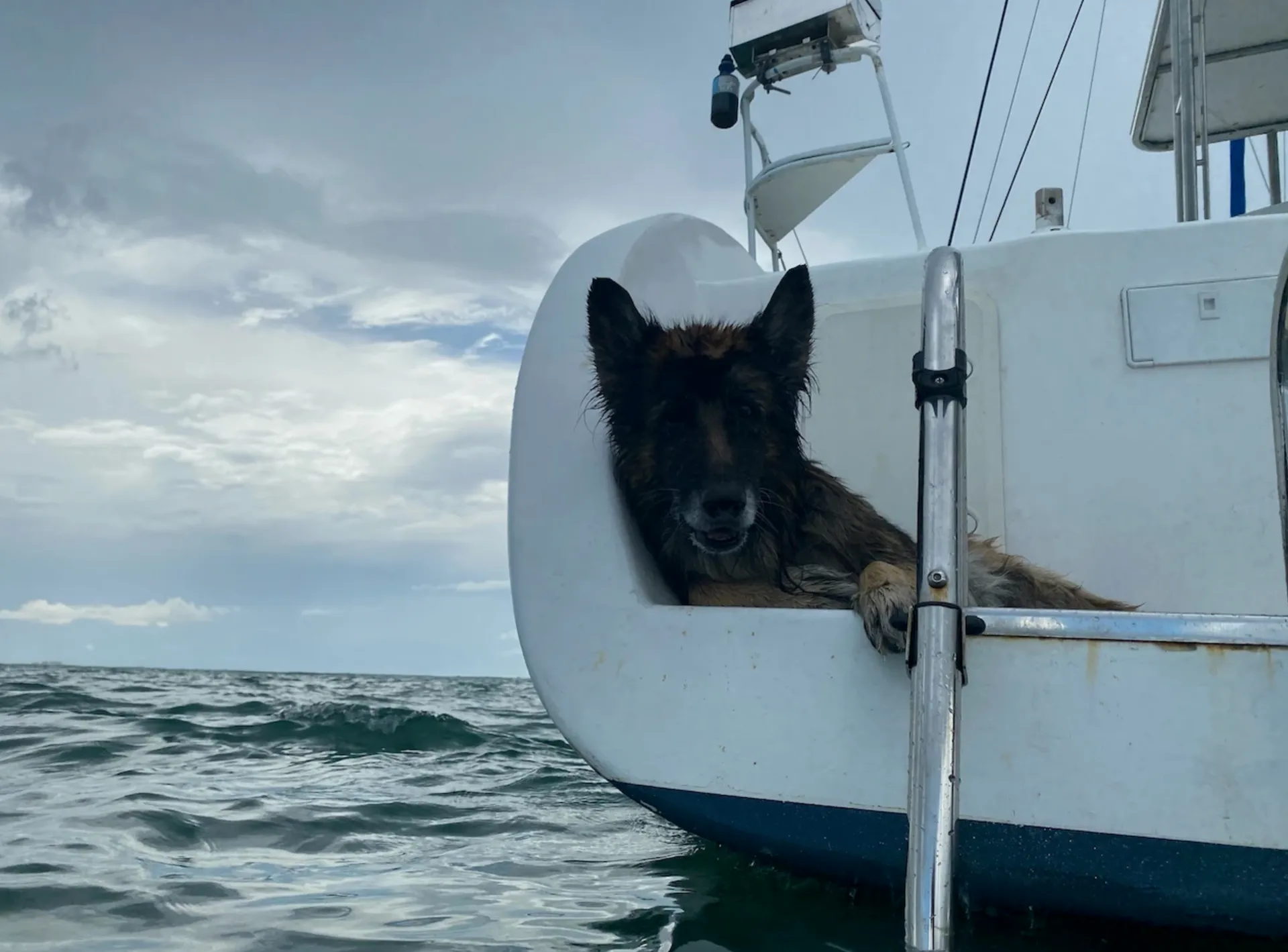 48ft Sailing Catamaran | Relaxing Day Charter in Miami
