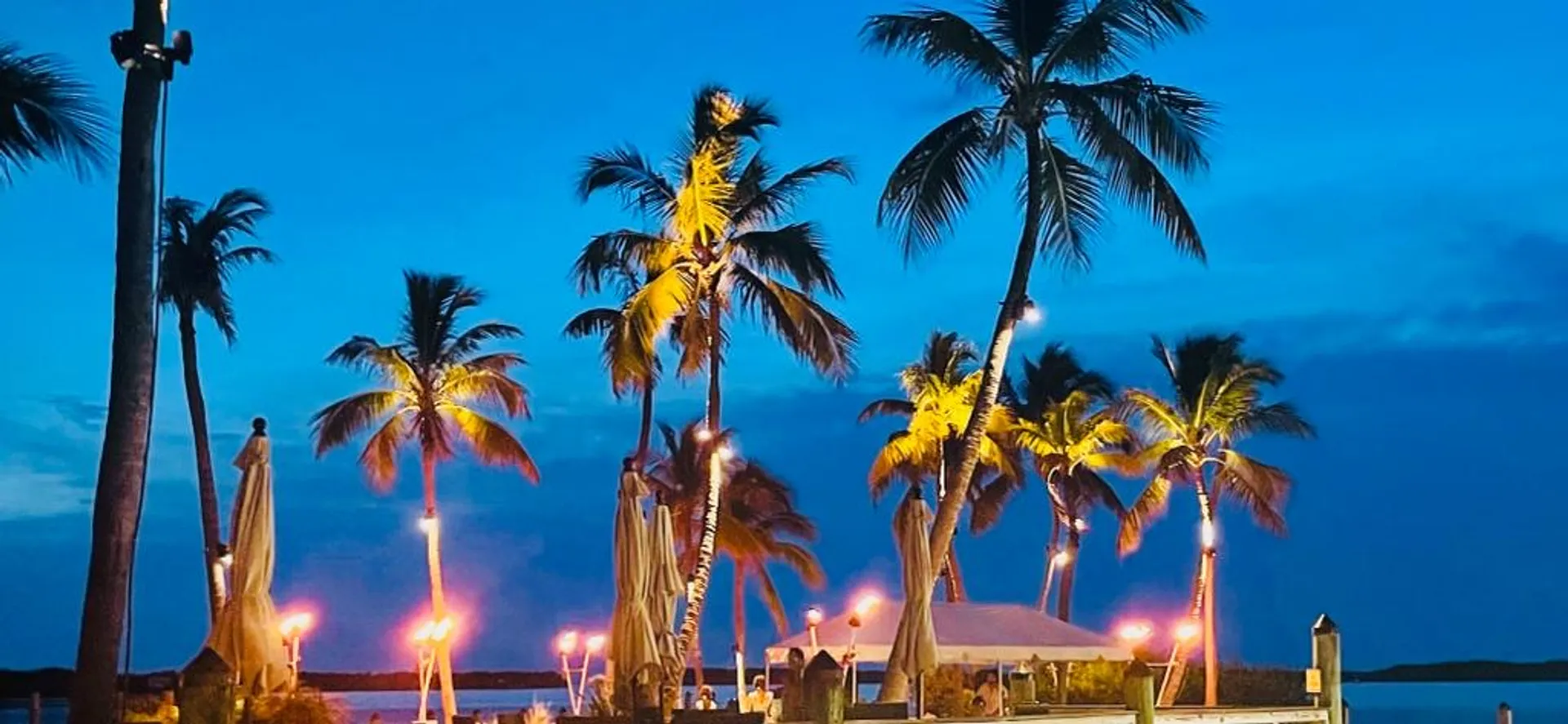 Explore the Stunning Waters of the Florida Keys Aboard Our 31’ Contend