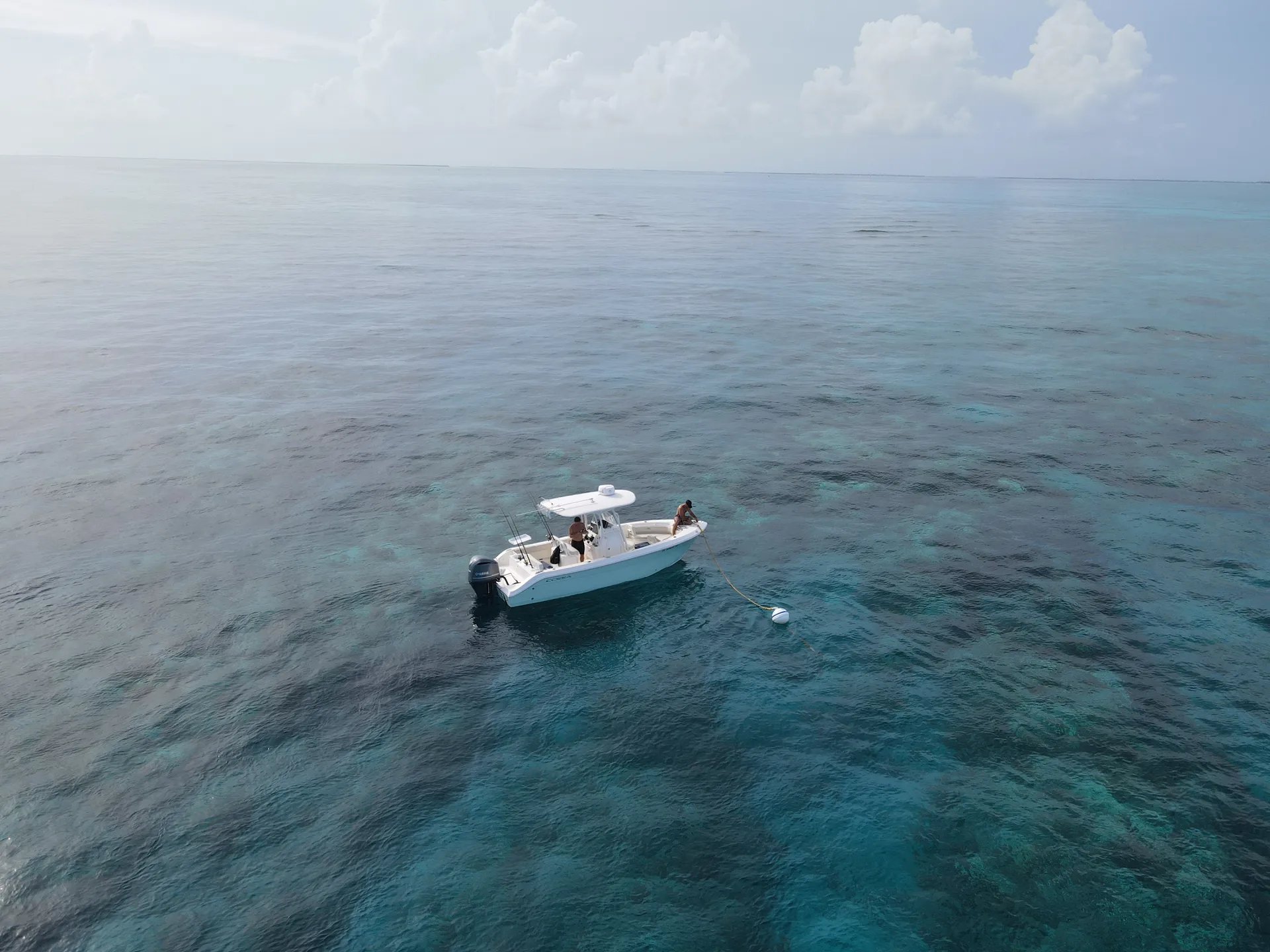 Cobia 237 6-8 passenger