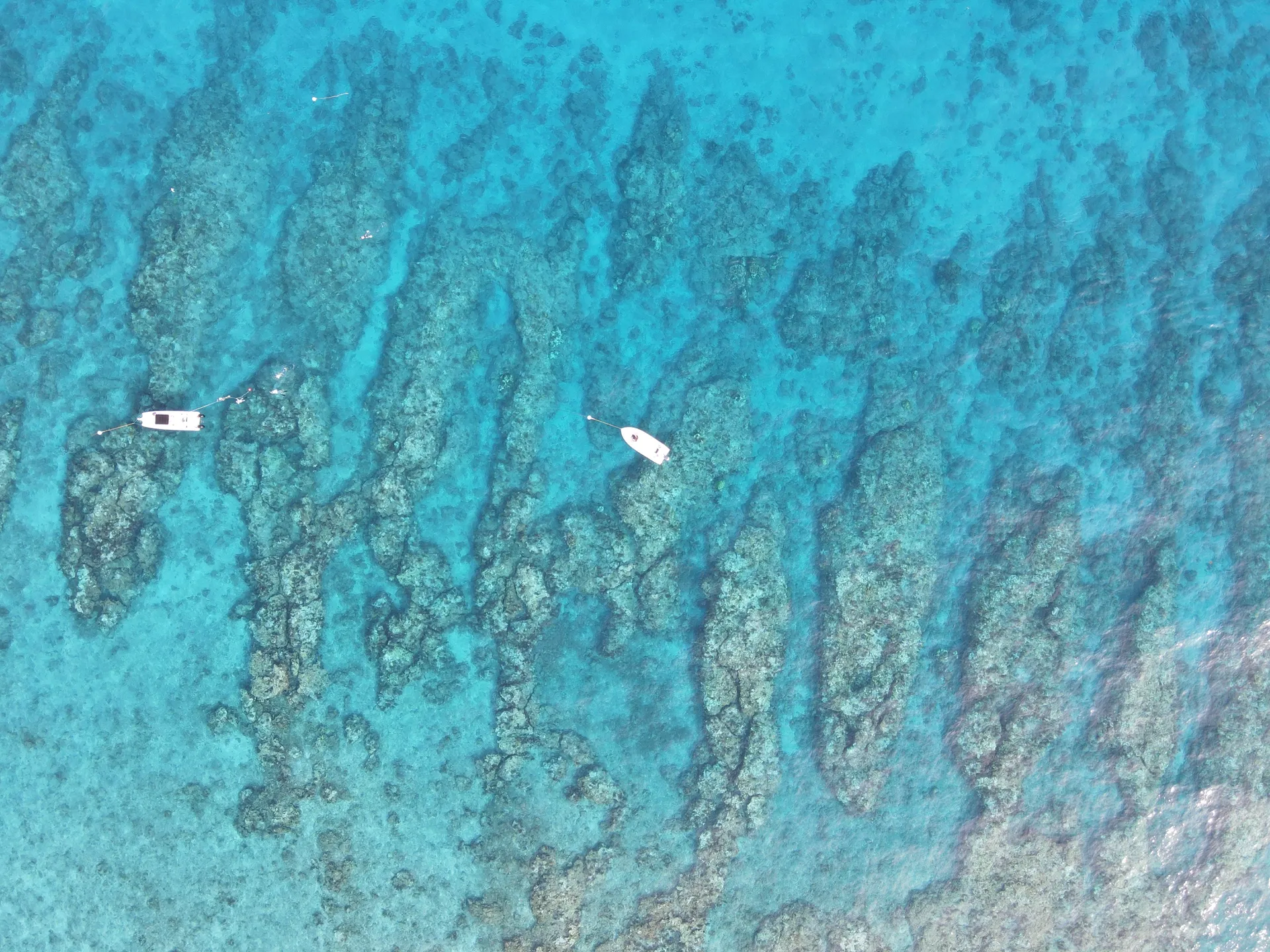 Cobia 237 6-8 passenger