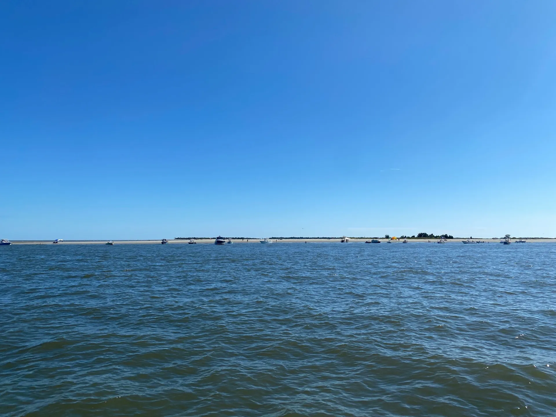 Adventures await you on Copasetic - Charleston, SC