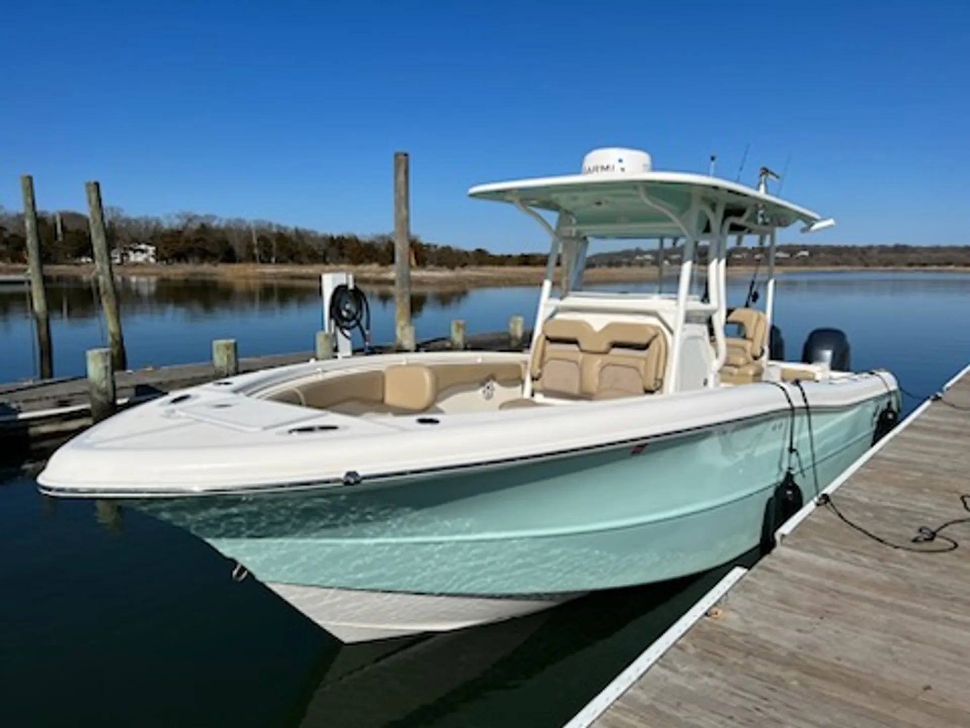 Center Console 261 Billistic - Relax, sandbar, tube, fish, ash spread 