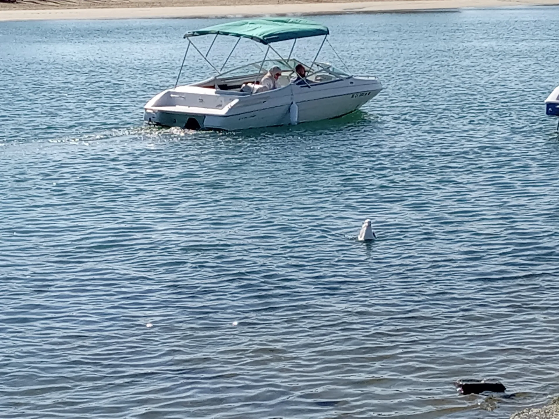 Sportboat.  Chris Craft Cruiser rental is available 2X per month.