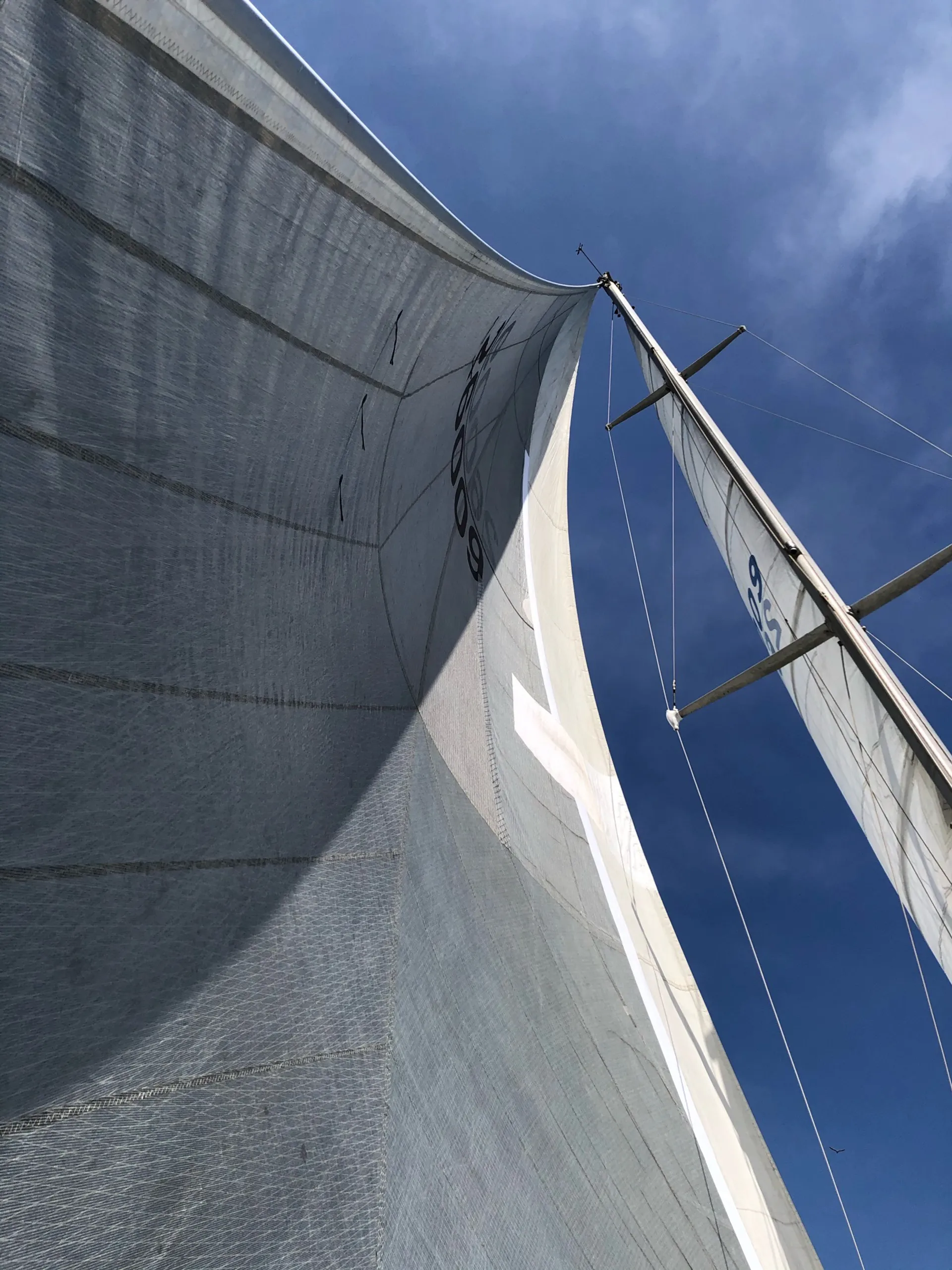 Amazing Private Sailing Charter on 36' Sailboat in Marina del Rey