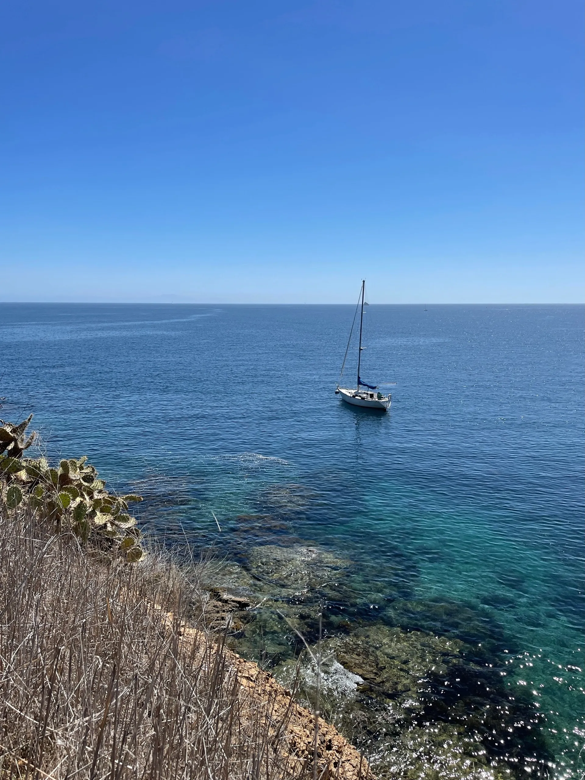 Amazing Private Sailing Charter on 36' Sailboat in Marina del Rey