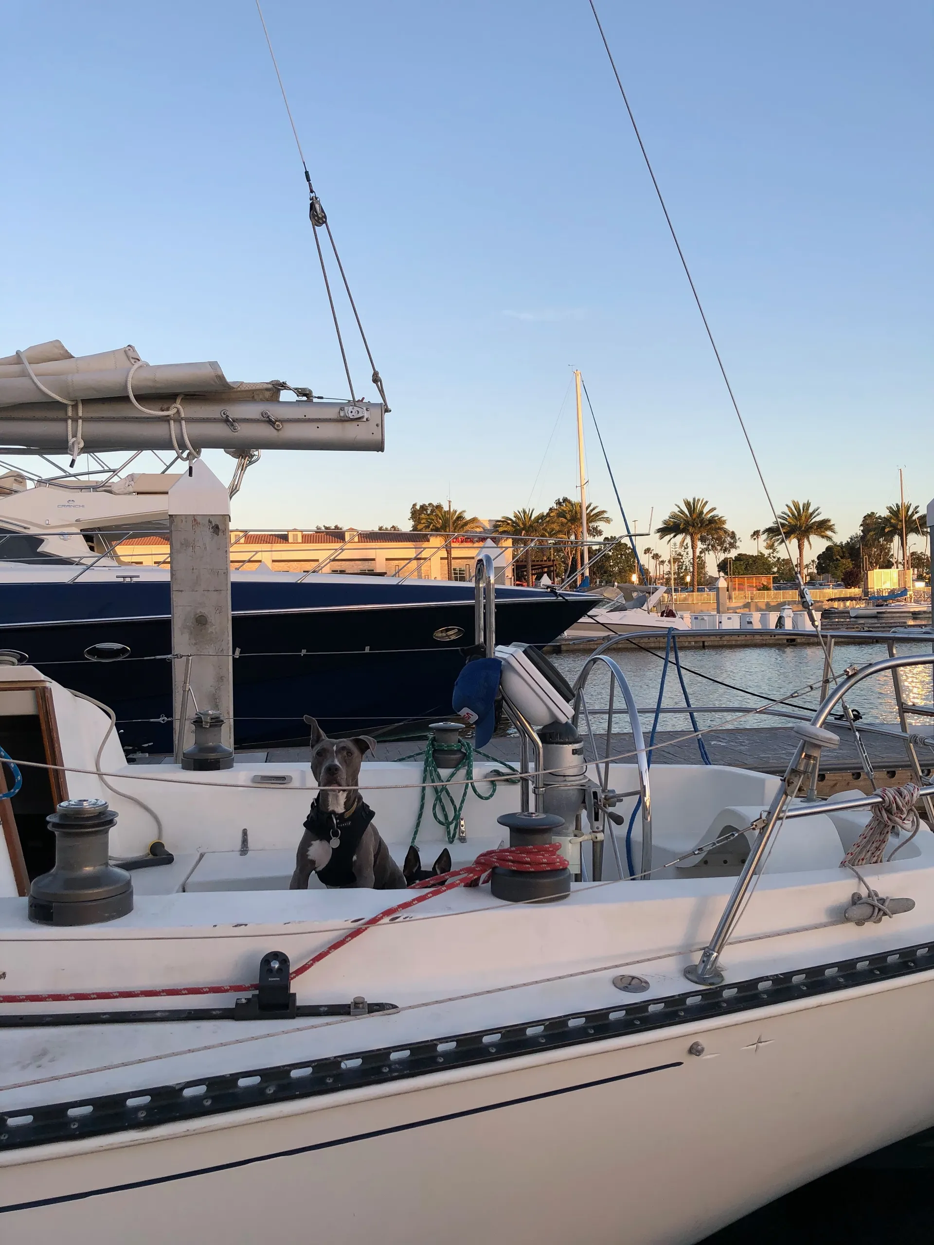 Amazing Private Sailing Charter on 36' Sailboat in Marina del Rey